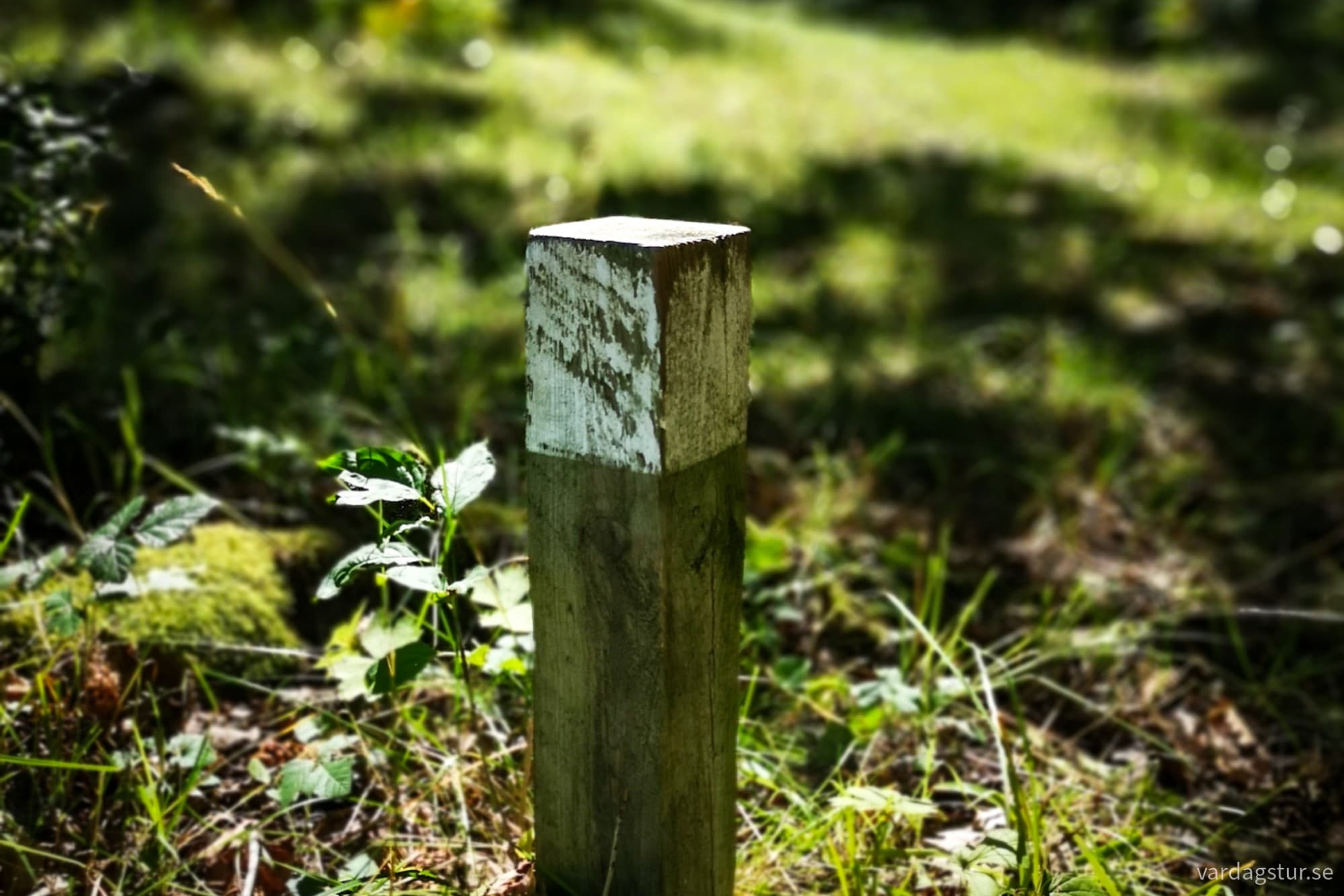 wp-17330446352607548933753101197568