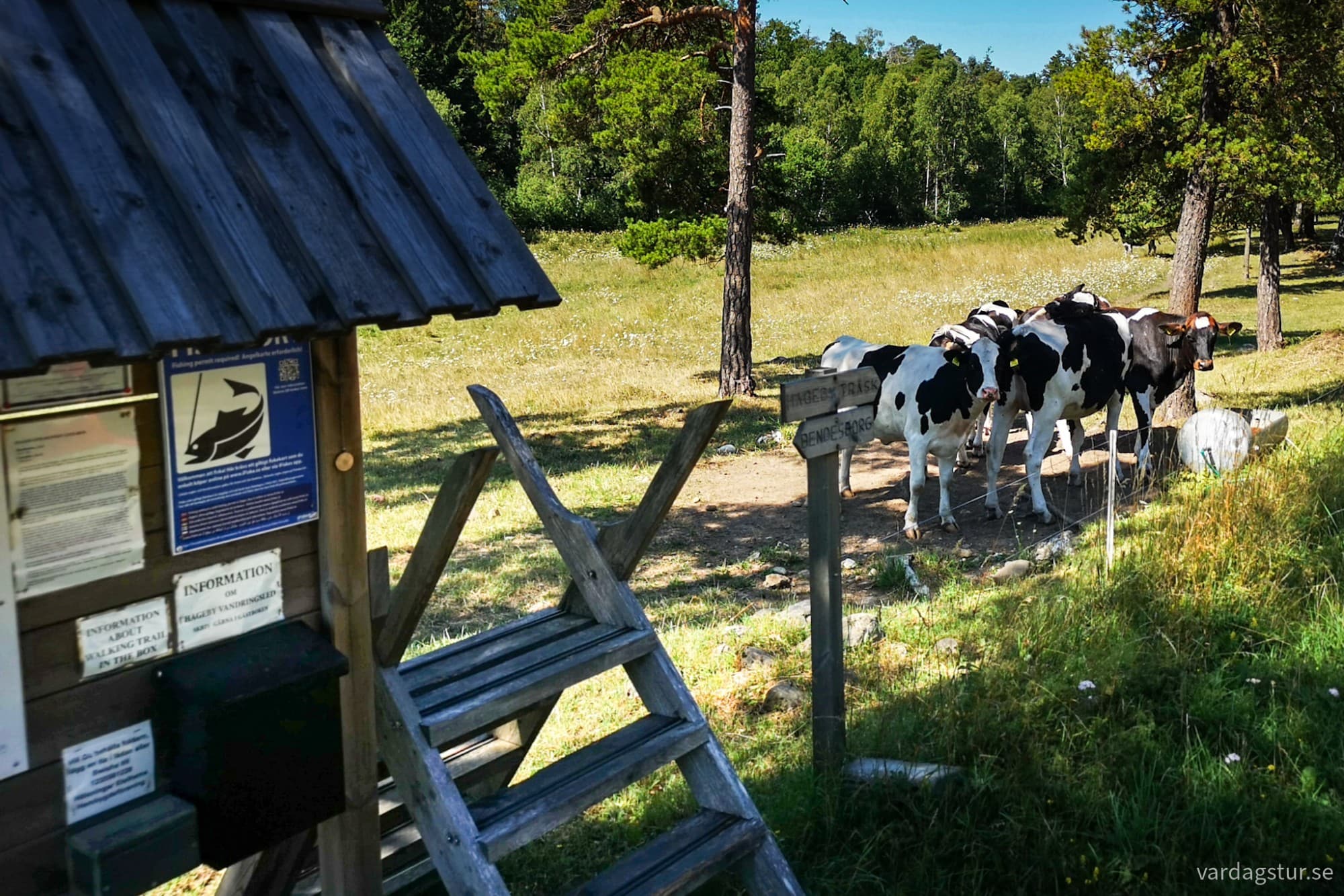 wp-17330446350425538811114521196852