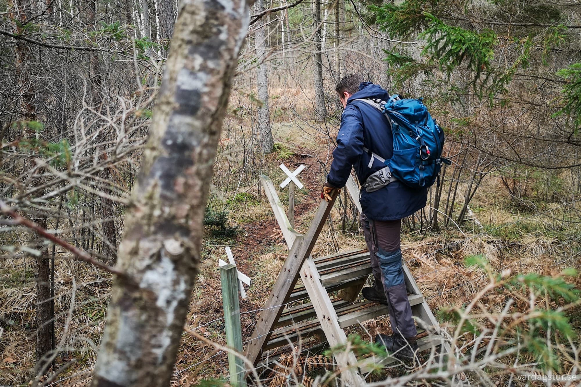 wp-17330452706985738150236695819569