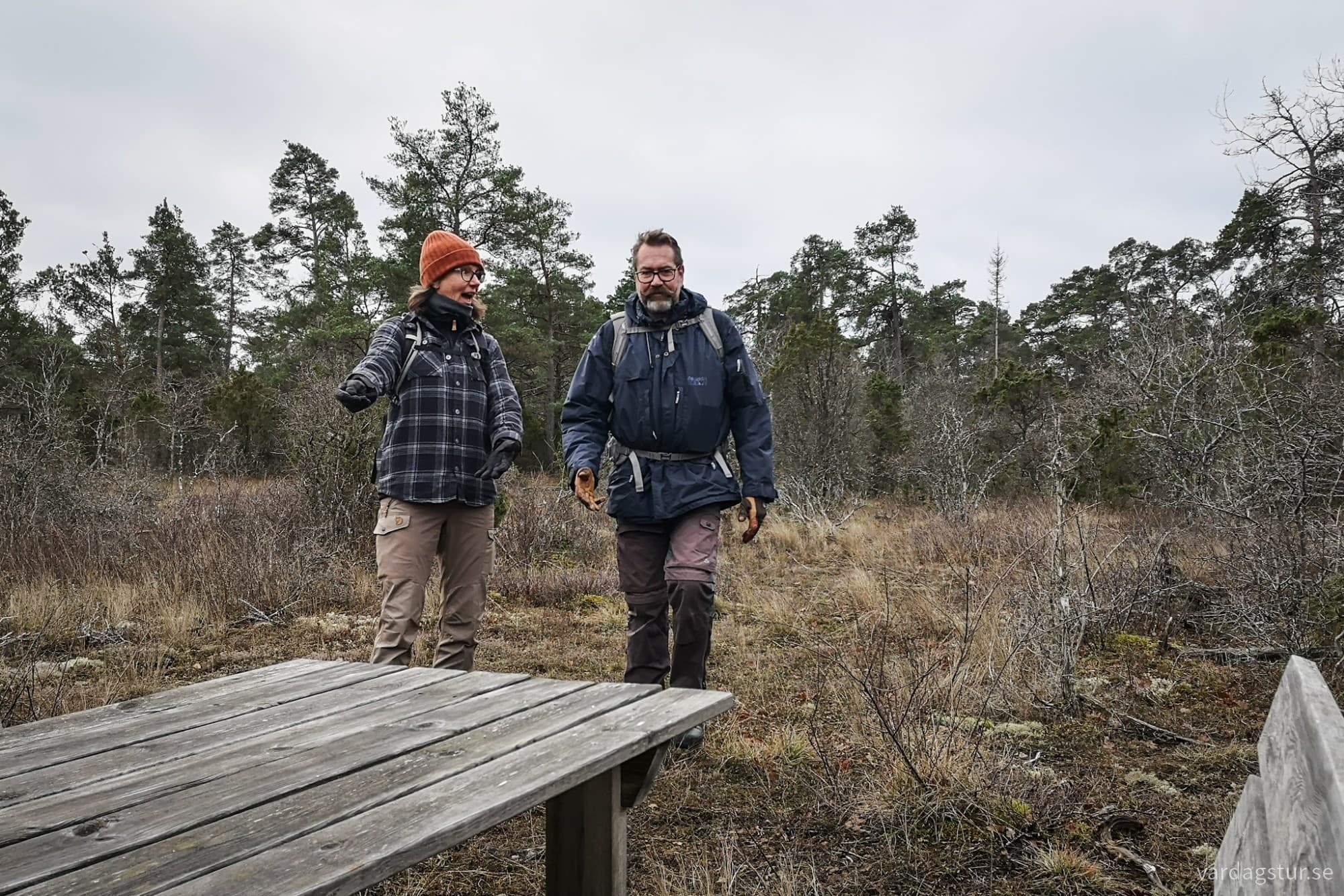 wp-1733046591379871634234948191453