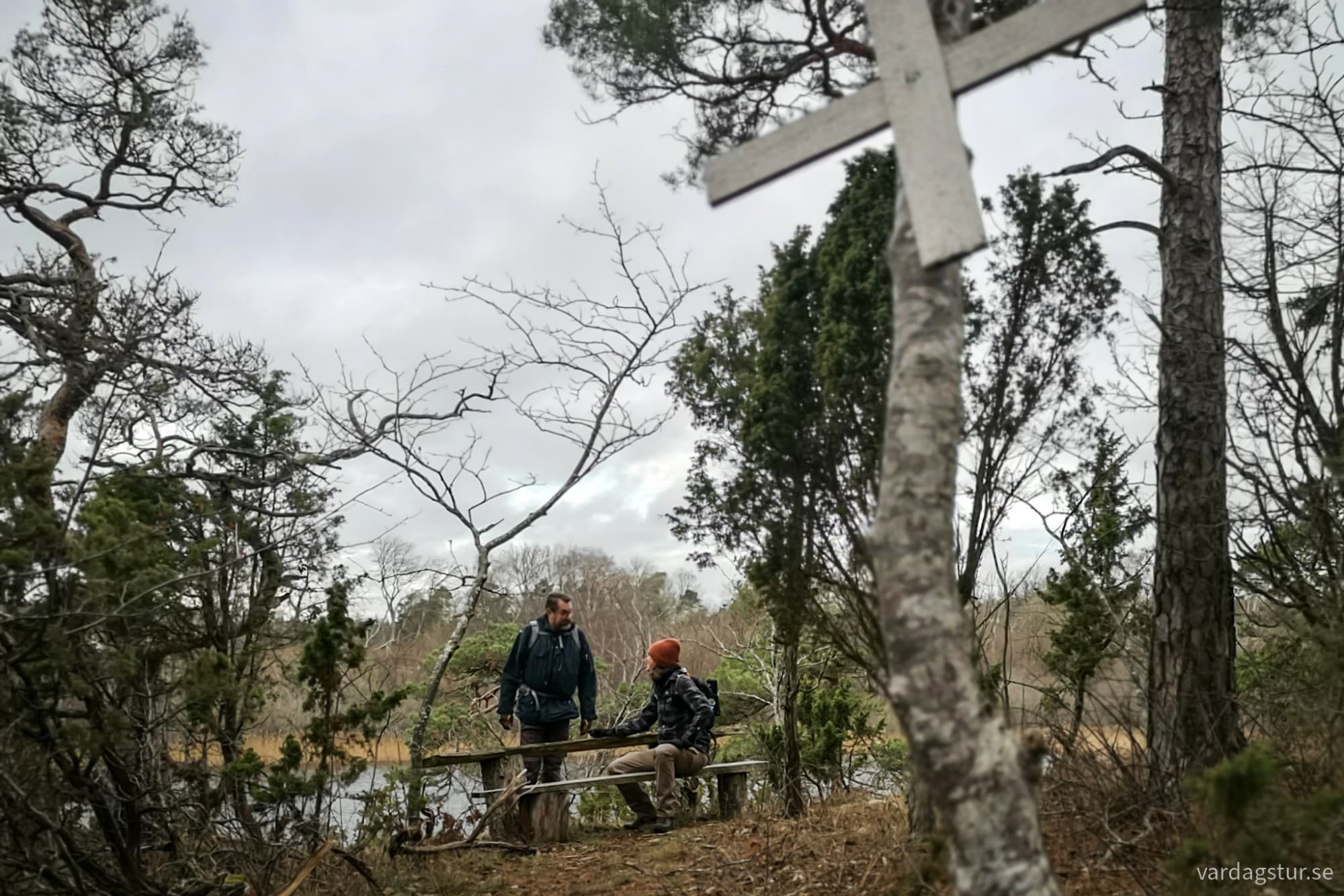 wp-17330480350141115123147297999521