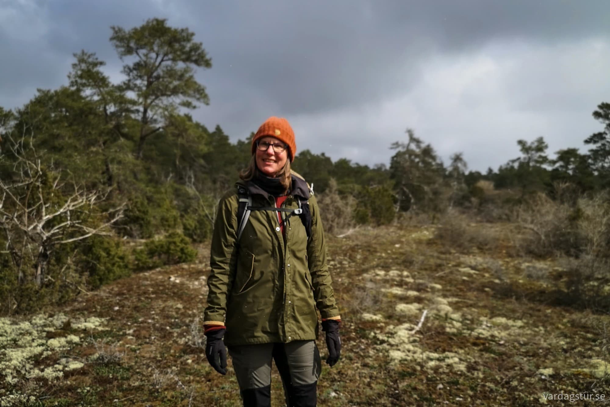 wp-17335622997657376007725863667998