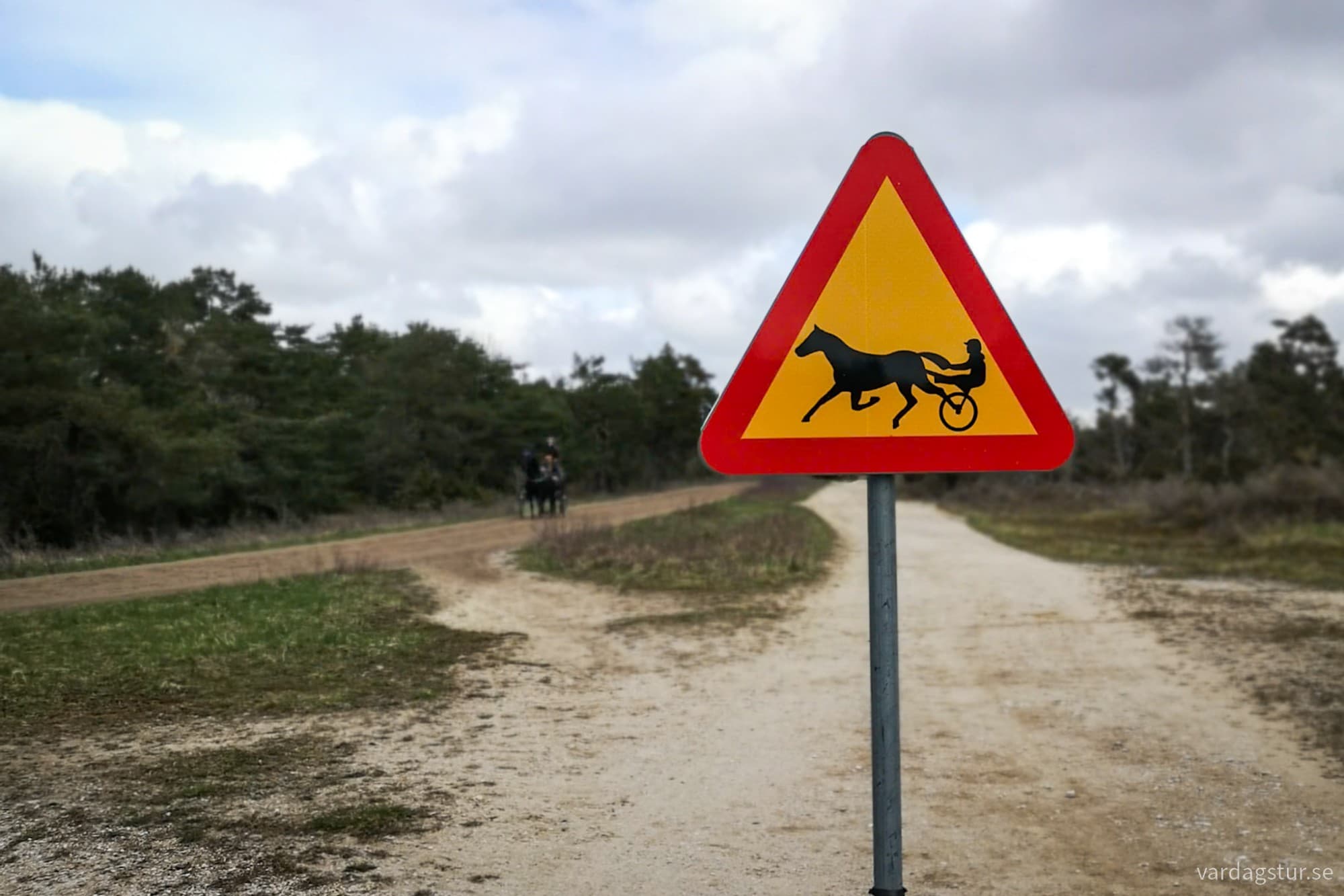 wp-17335622995458306926492063061690