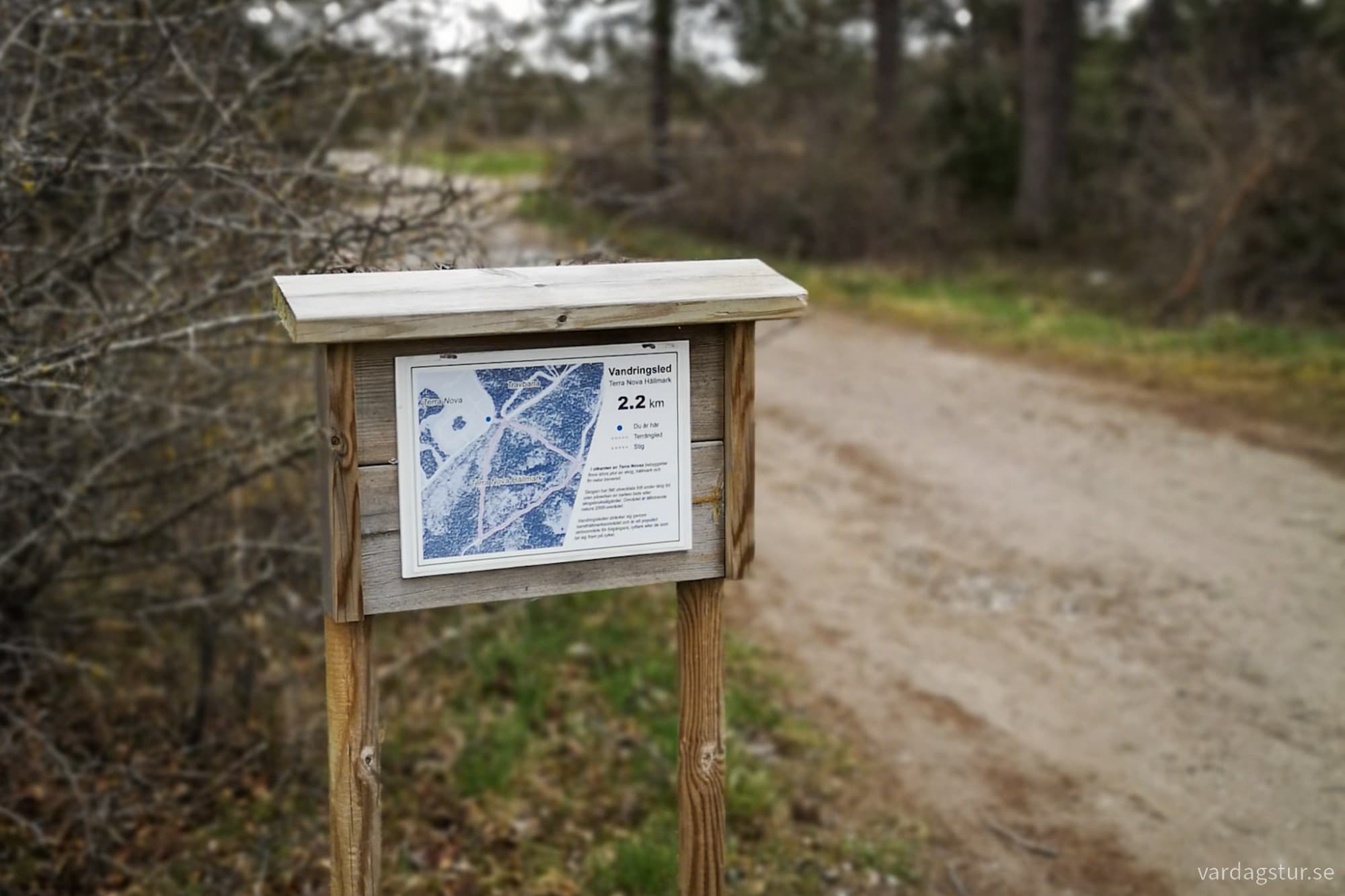 wp-17335623002203023796197908408864