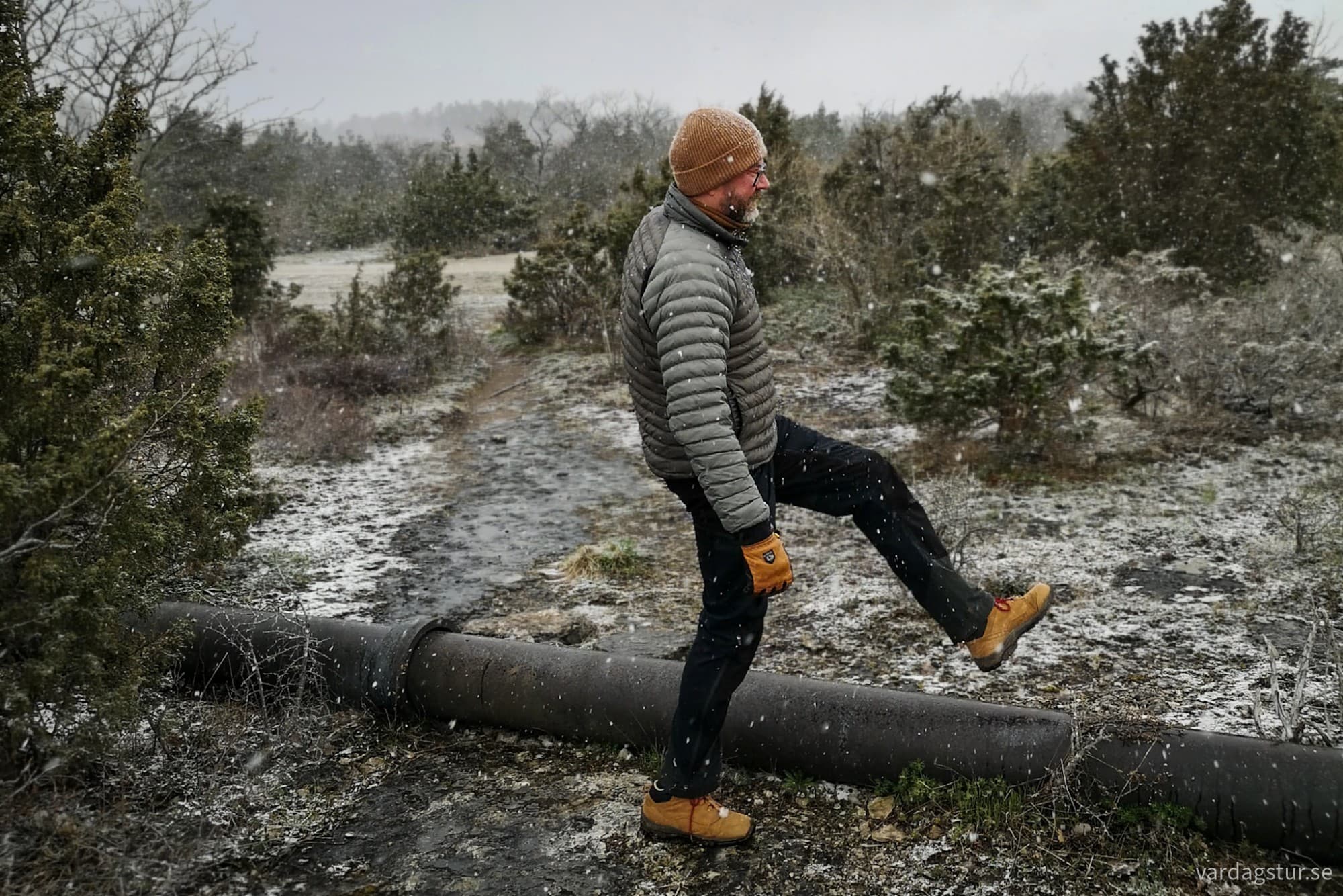 wp-17335622999743918741826019175801