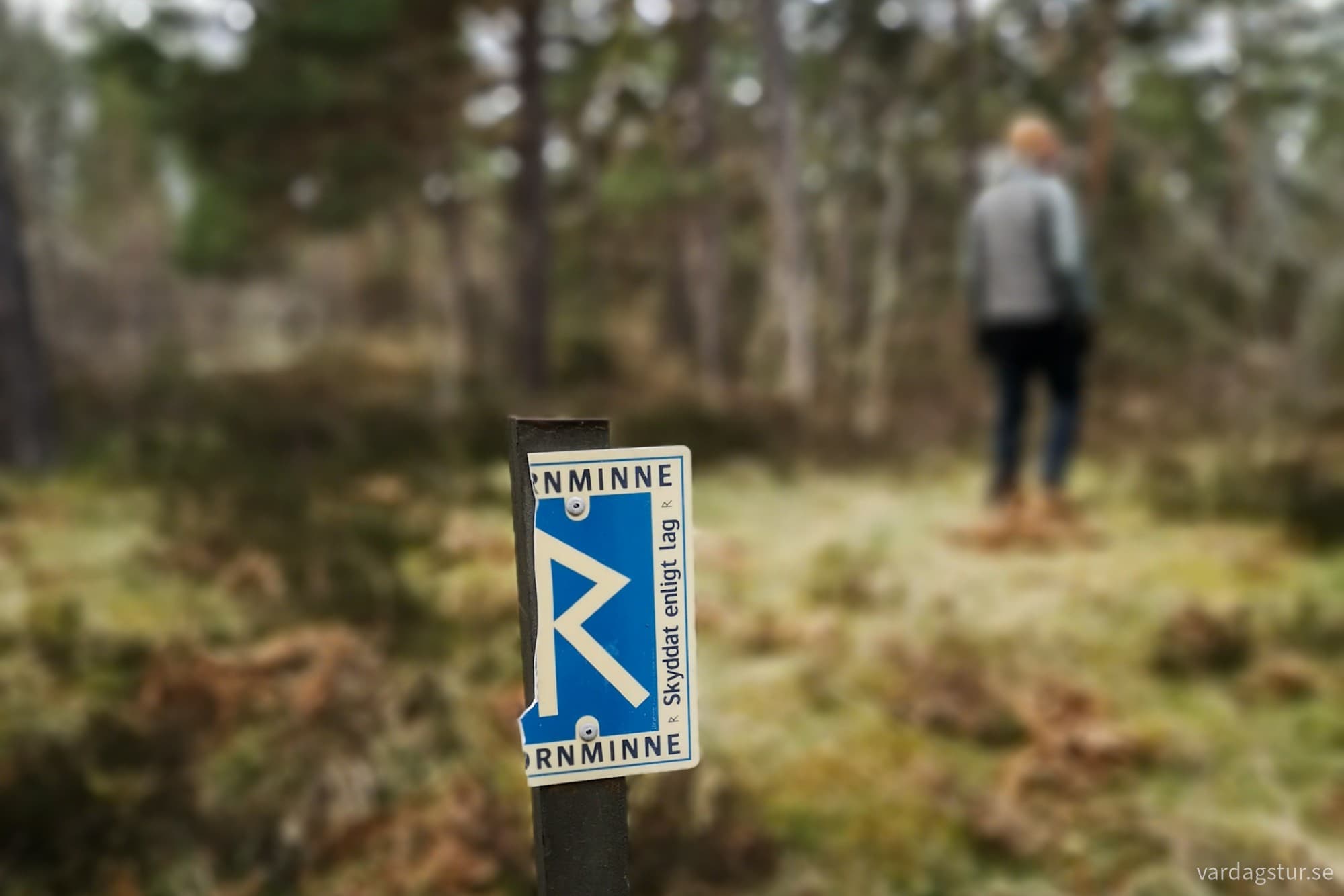 wp-17335623009576647576677692610633