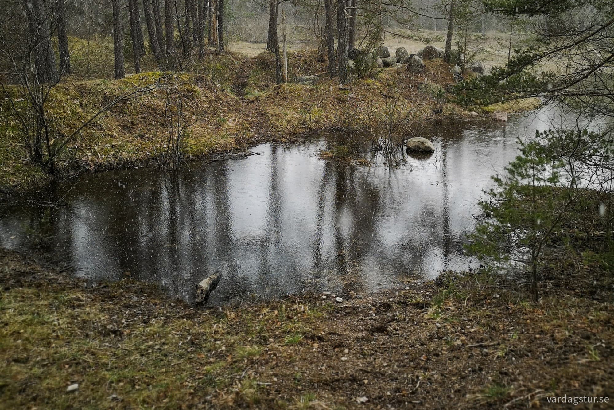 wp-17335623004194569425032306180956