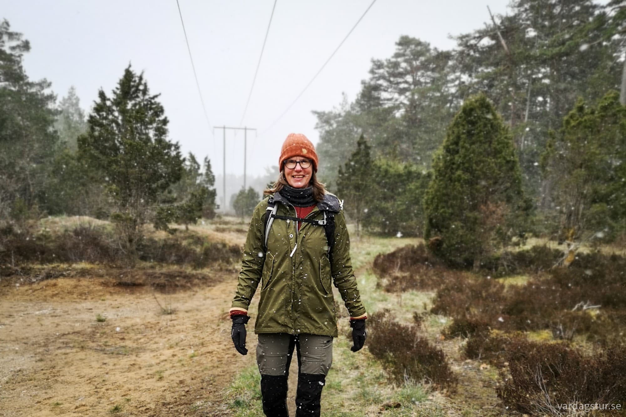 wp-17335623007045571644616071654128