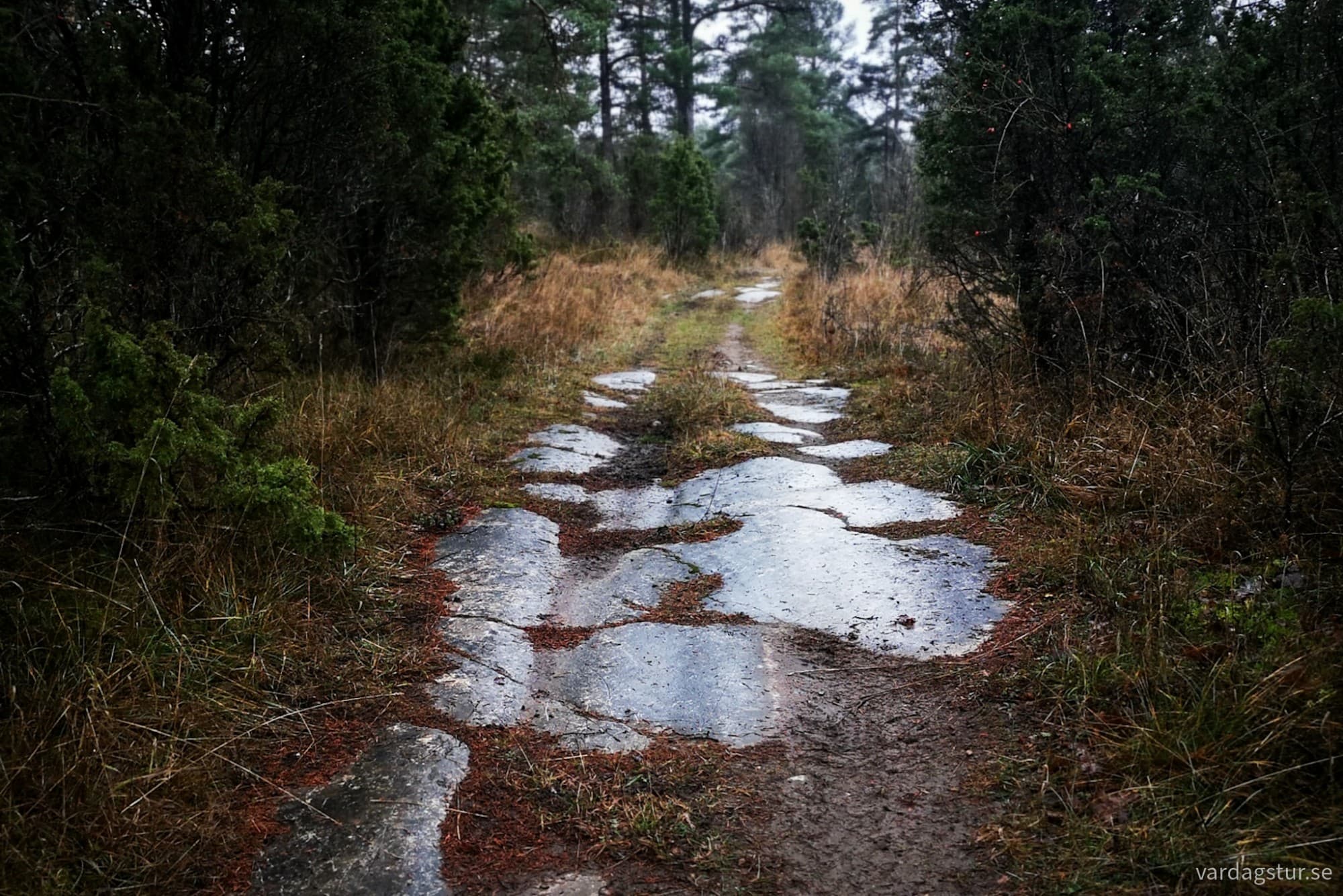 wp-17337638538012494371880903433401