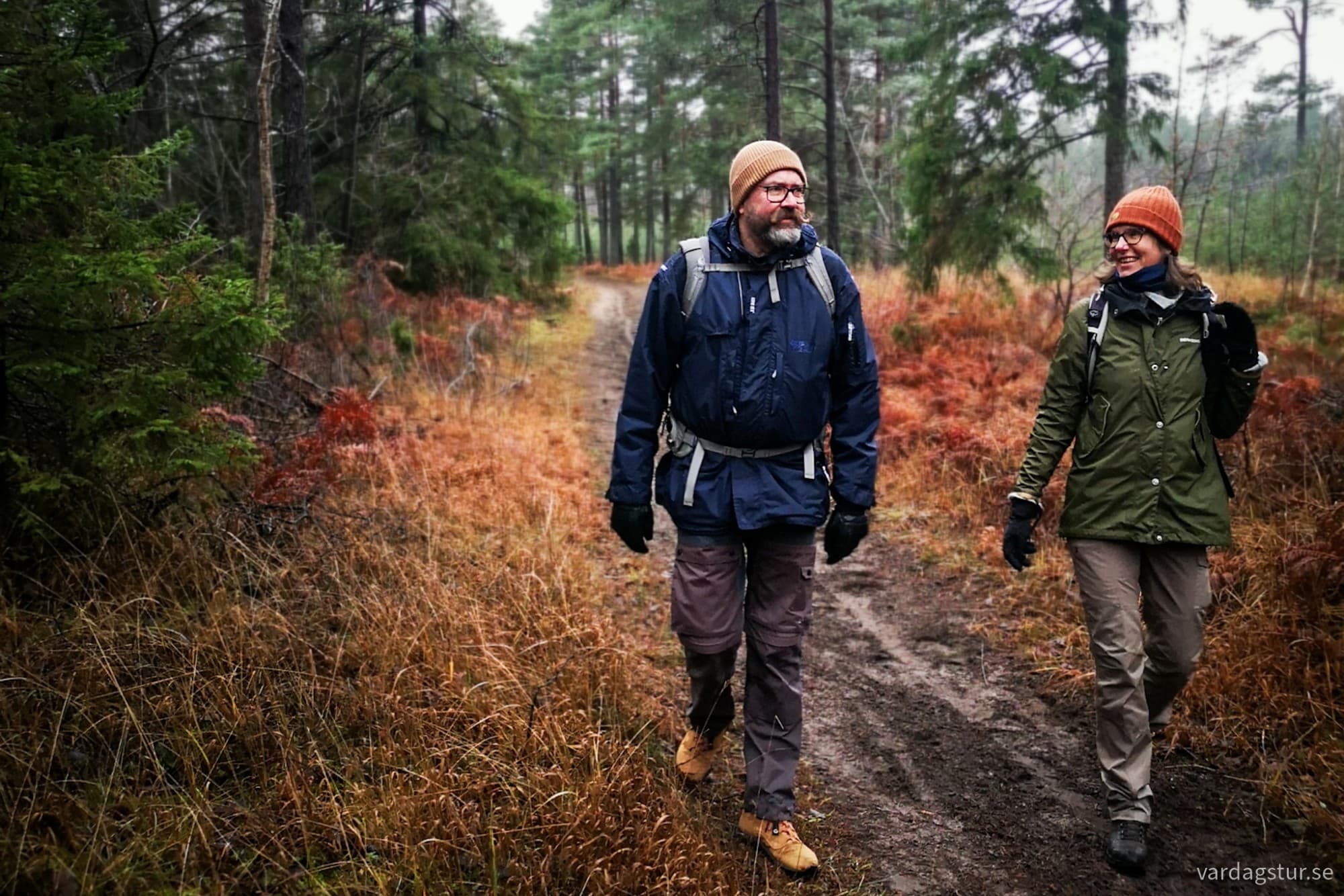 wp-17337638532448910277313685865618