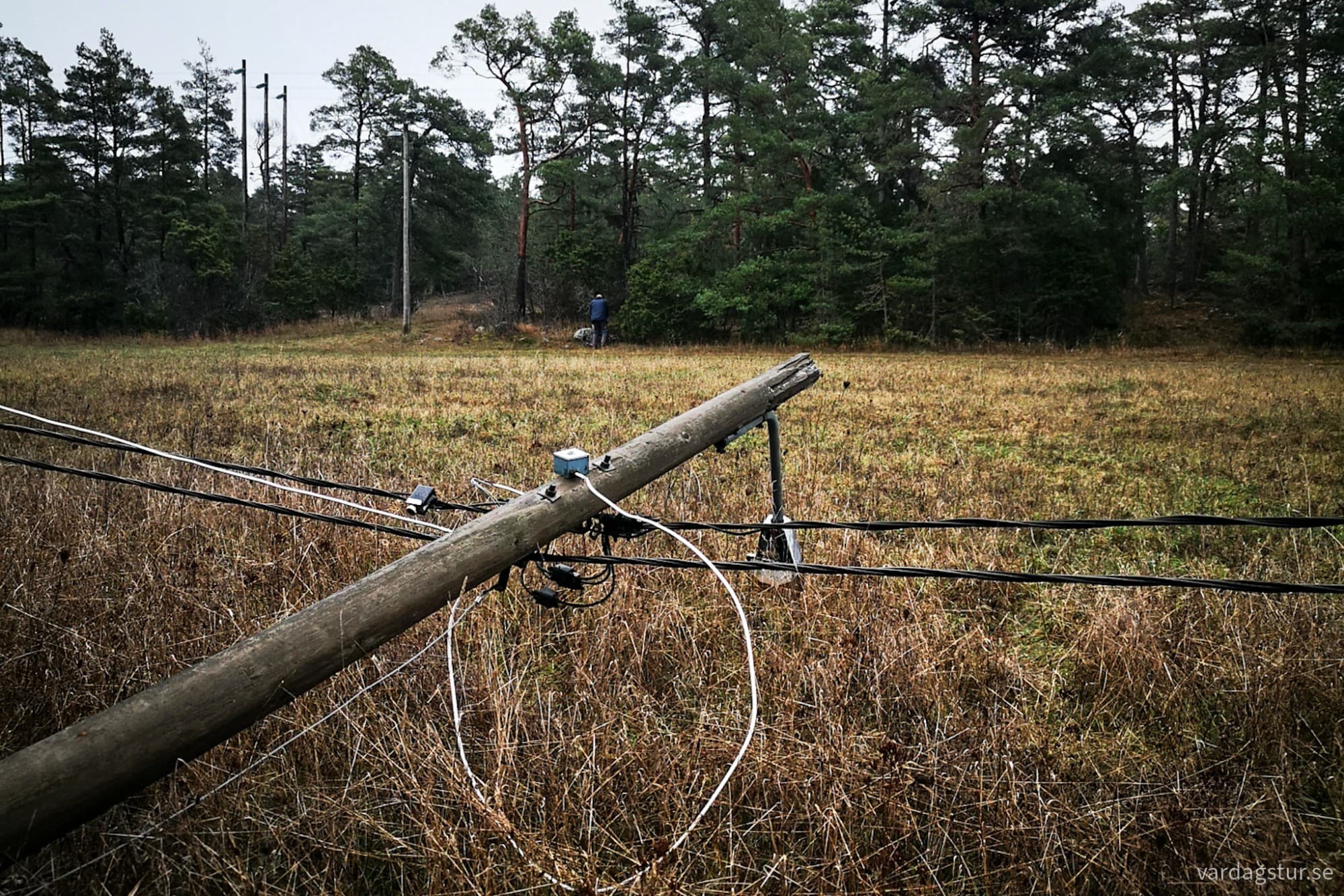 wp-17337638526142232362089779874134