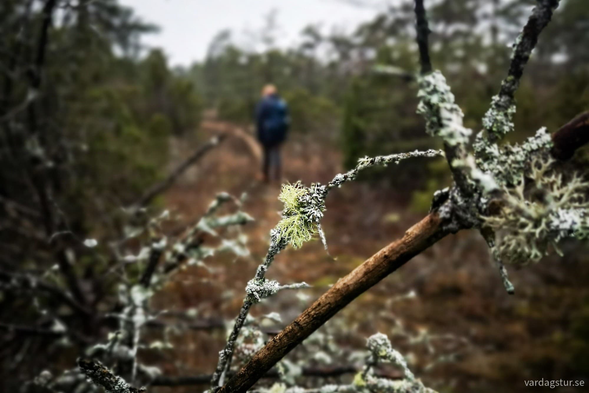 wp-17337638542301962225313418255988