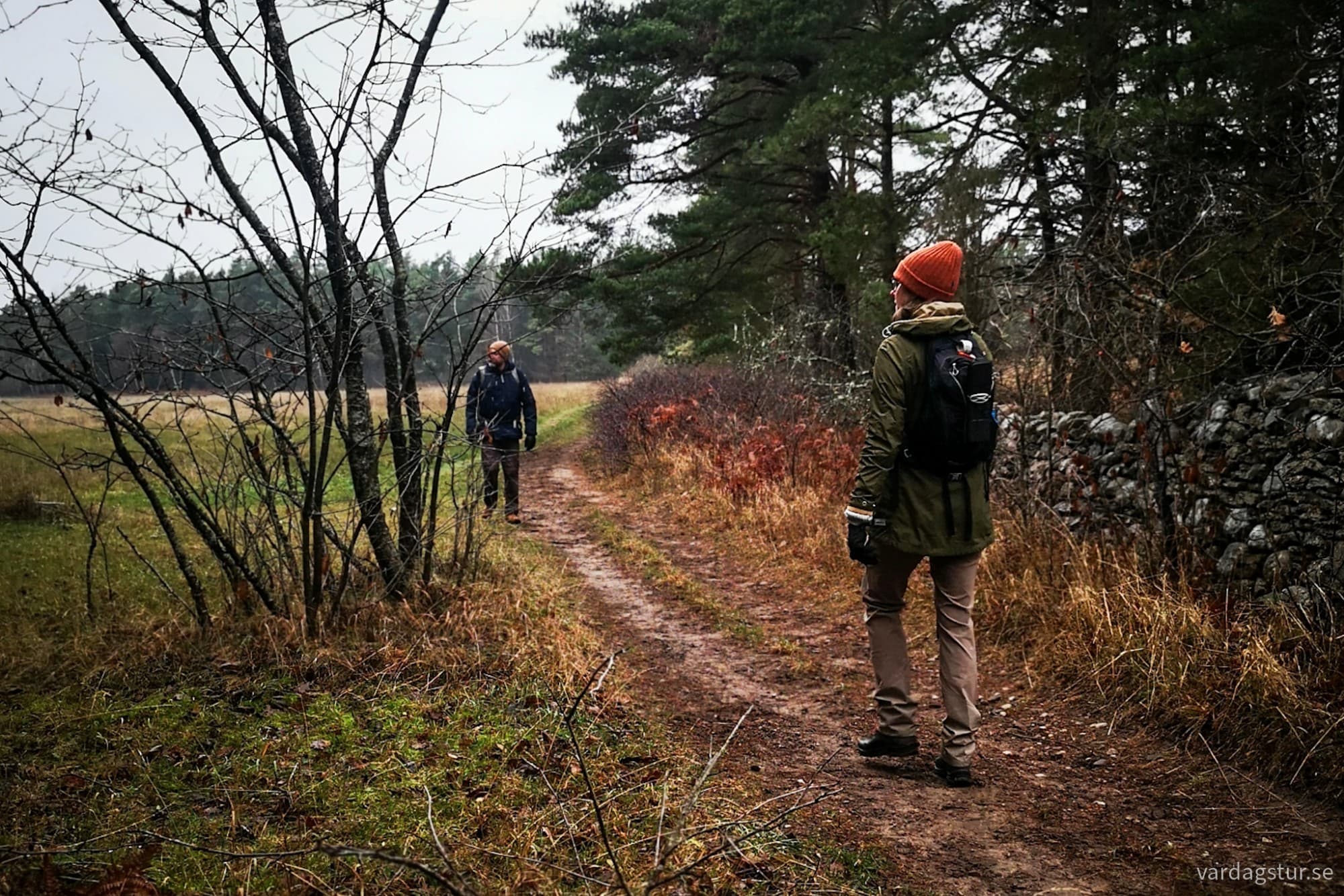 wp-17337638535148450320042870094261