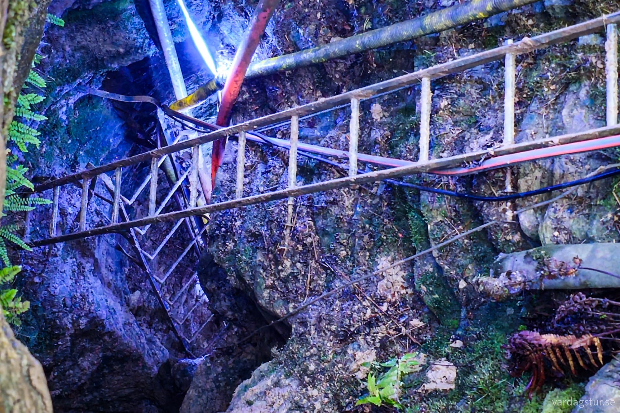 wp-17342493838732958720459238603094