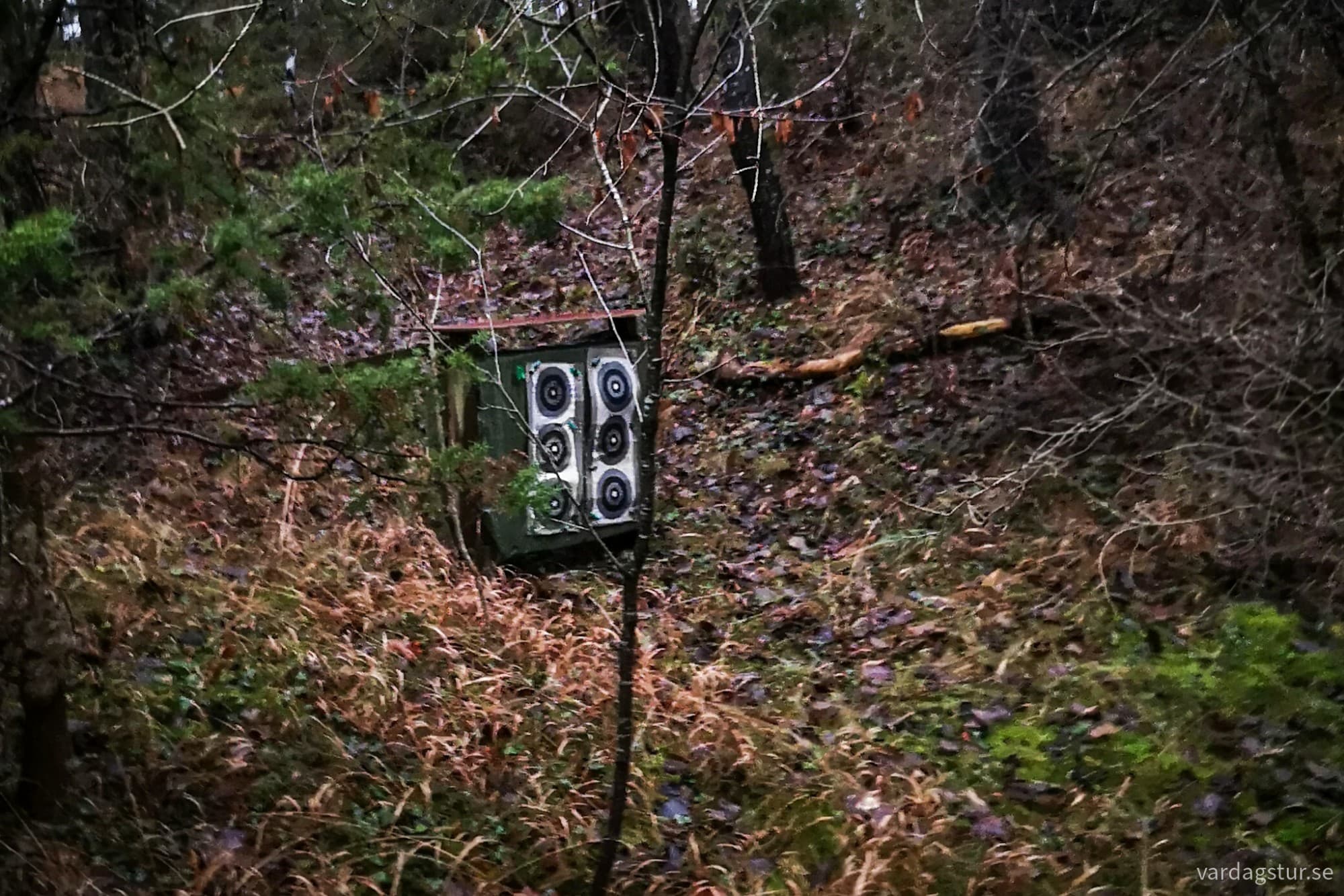 wp-17342497659772214279416040978071