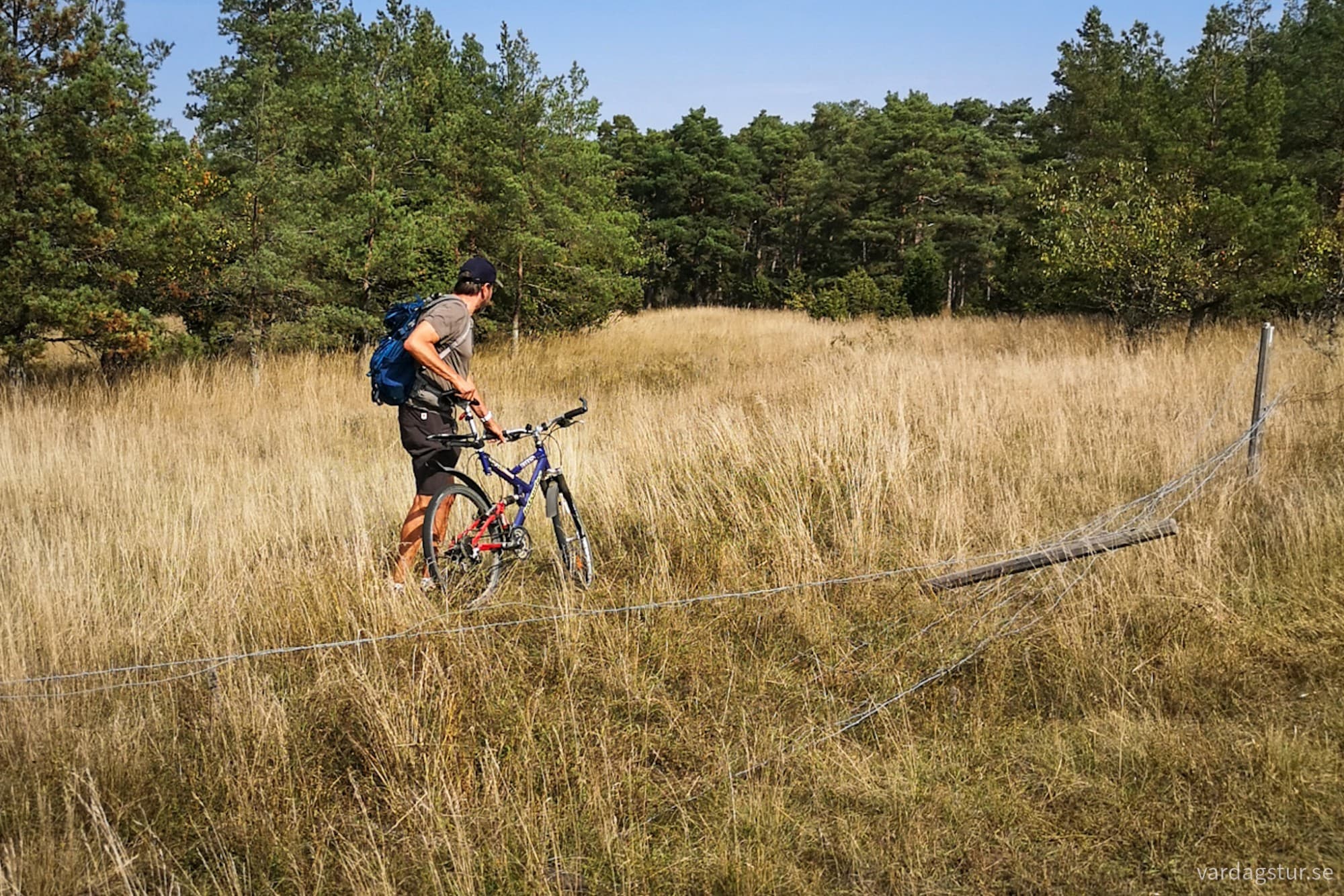 wp-17342741510434447372304703492264