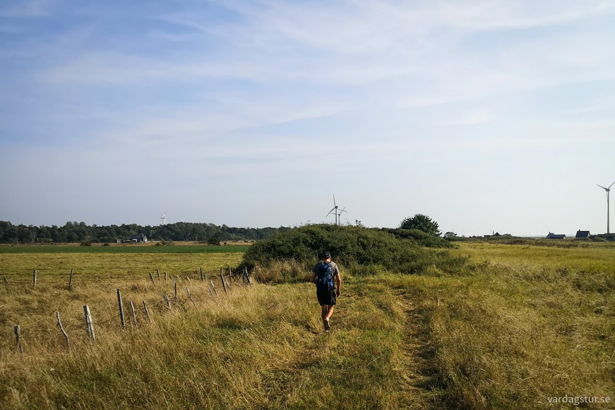 wp-17342741507872815530227403856990