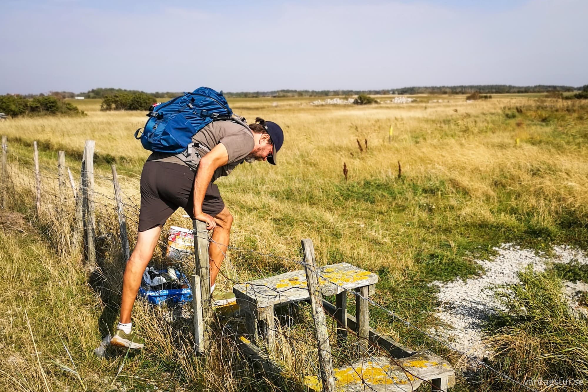 wp-17342741519987698915915553228200