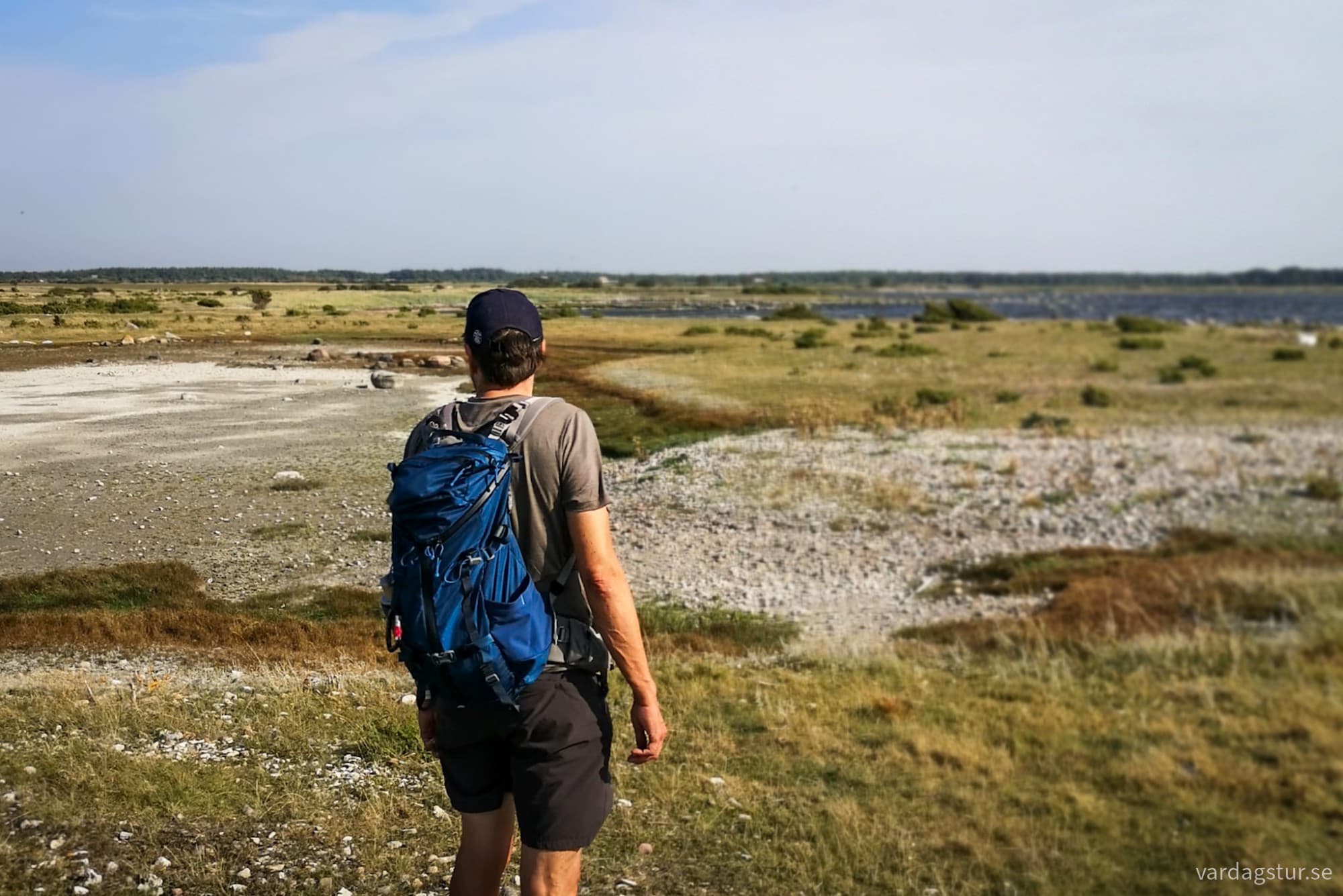 wp-1734274152720387965676137721948