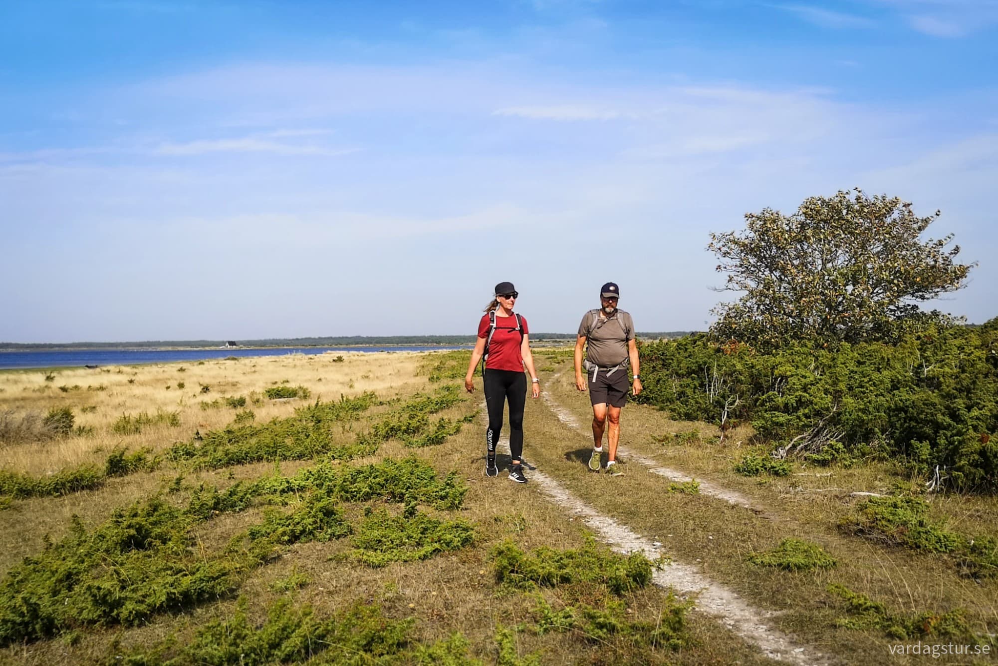 wp-17342741531983454516865919845801