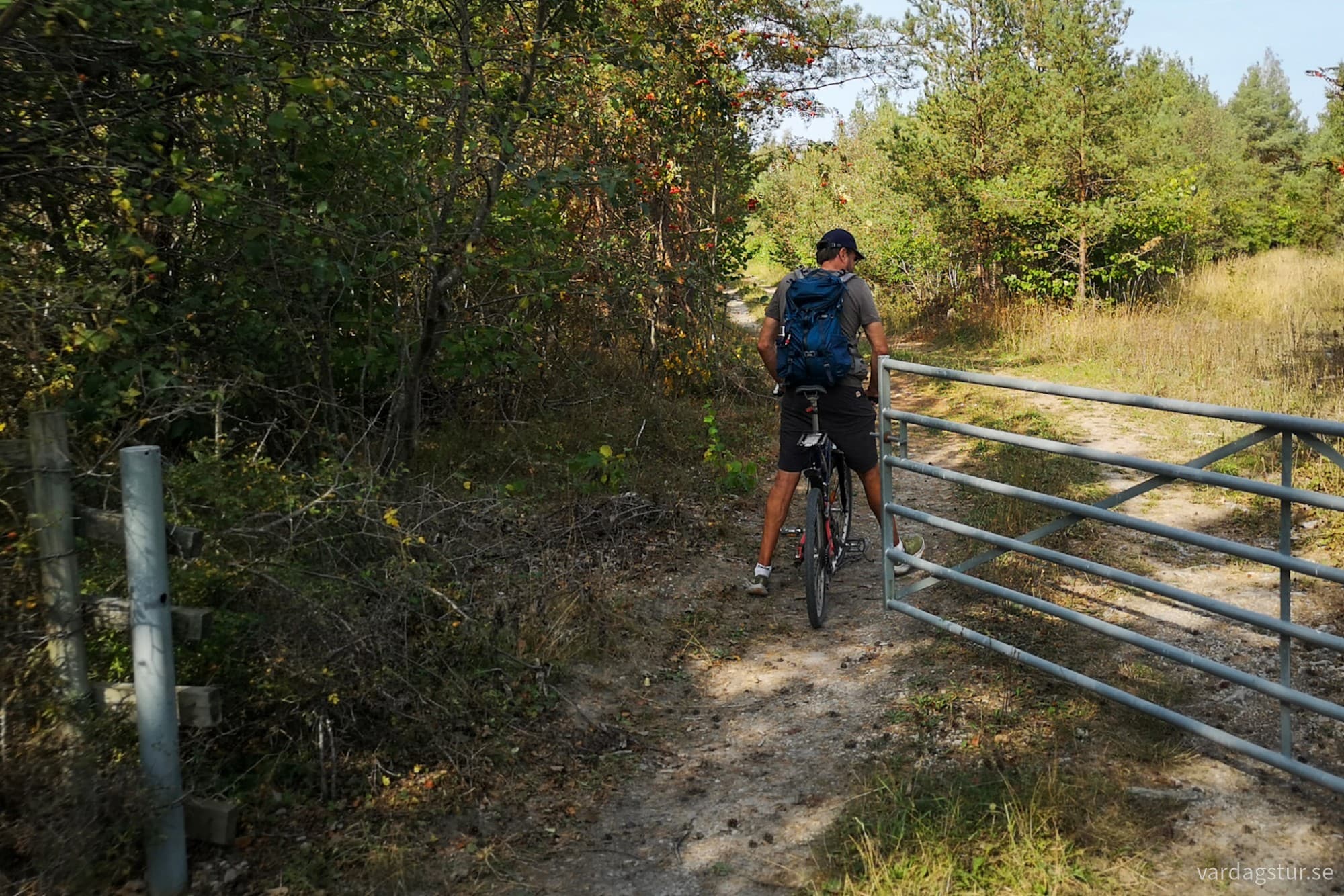 wp-17342741529335125300378412954614