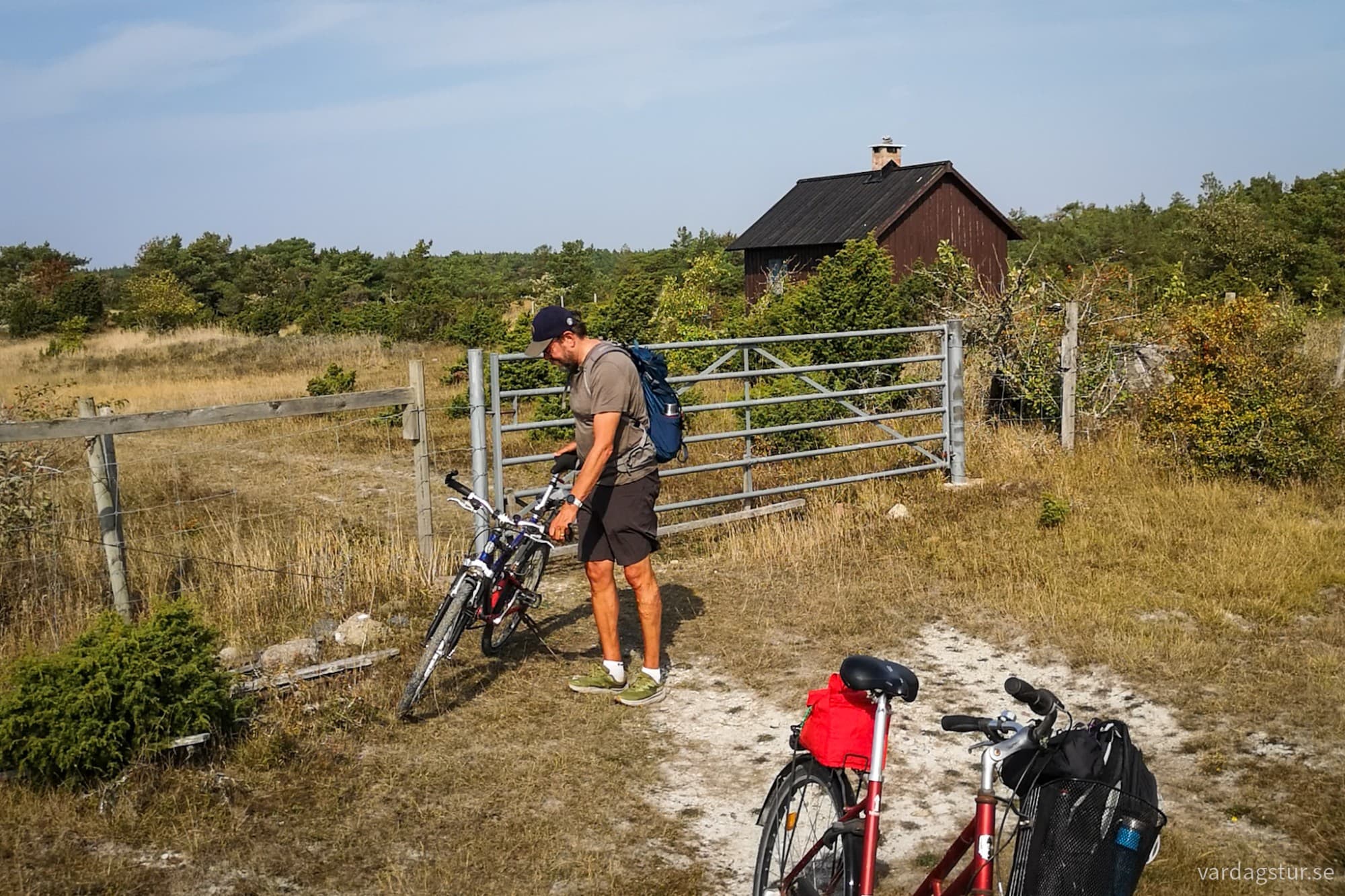 wp-17342741537193167793718749085902