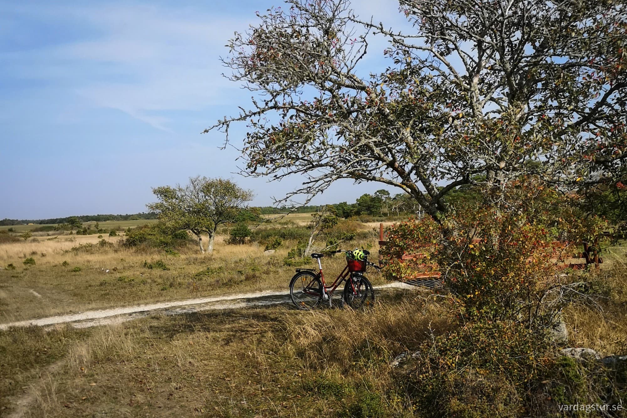 wp-17342741534388403445770902677035