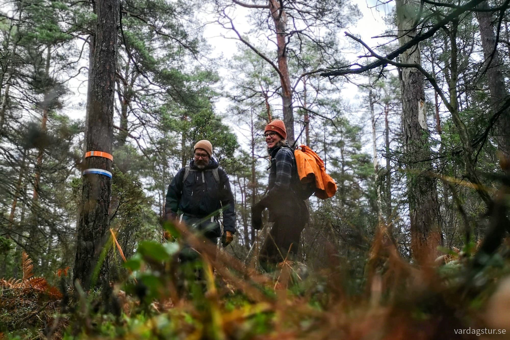 wp-17348557543027946890025375477236