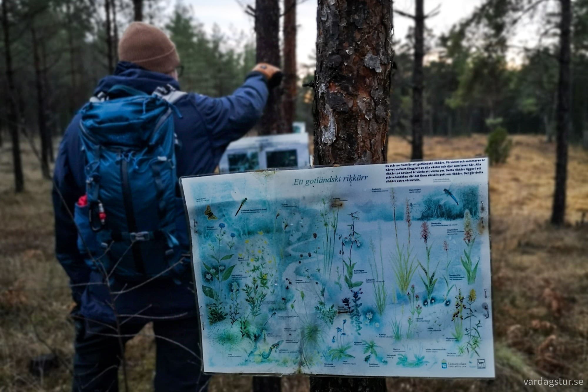 wp-17348840389027808097797037450071