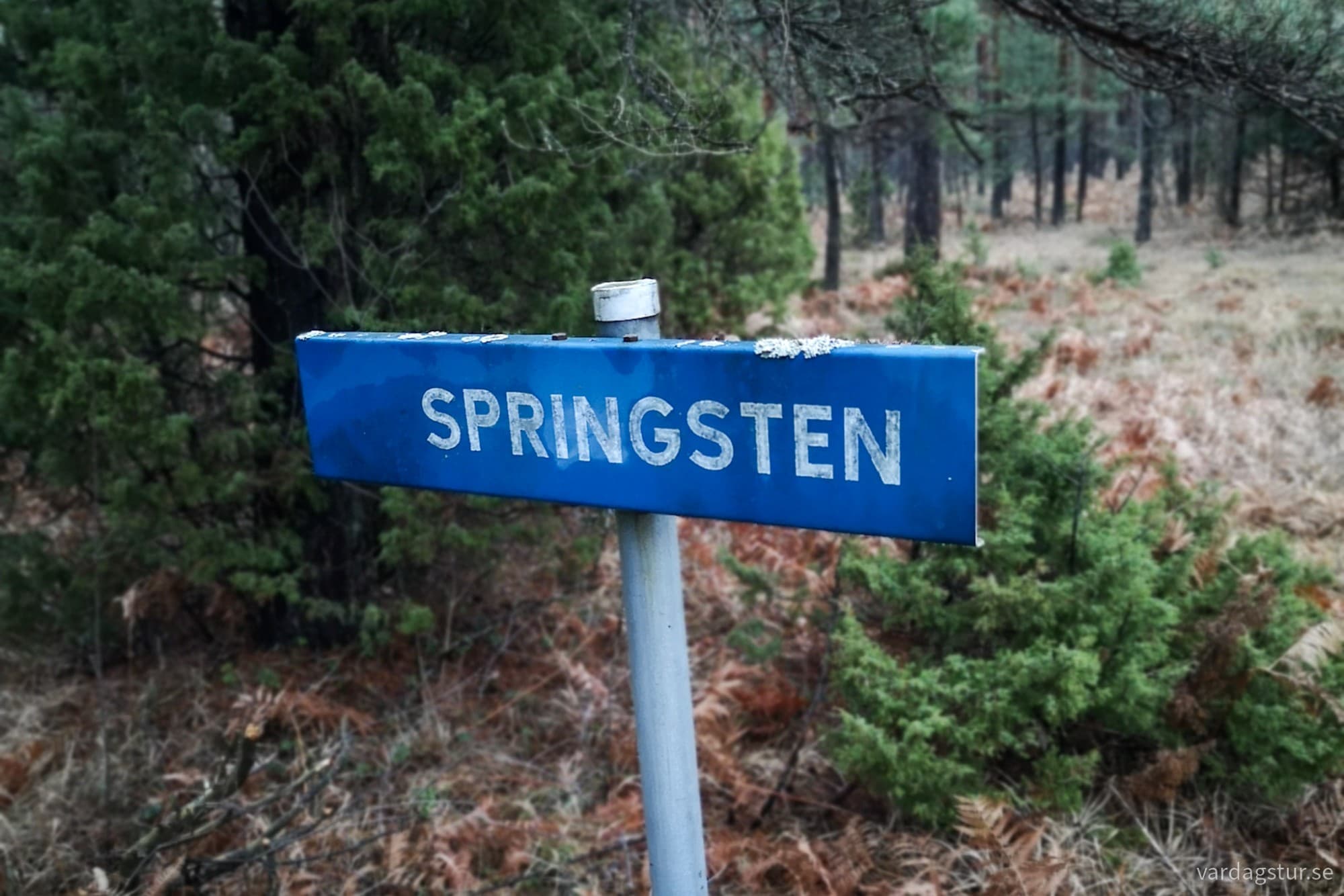 wp-17348840379163333716342054440848