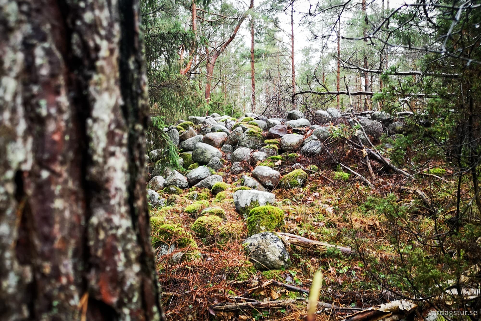 wp-17348840383063723265788410182353