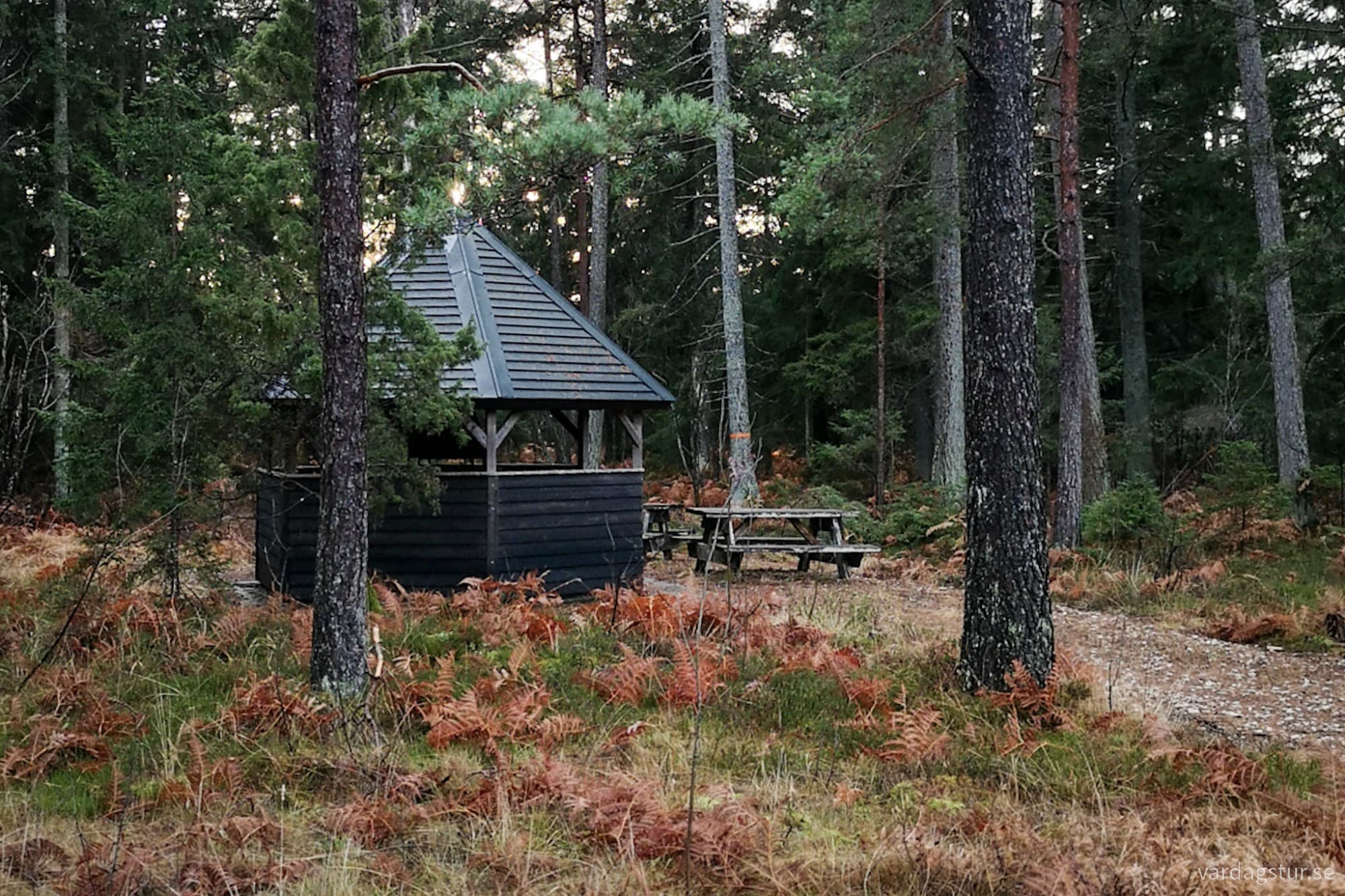 wp-17348840391243451580725748951098