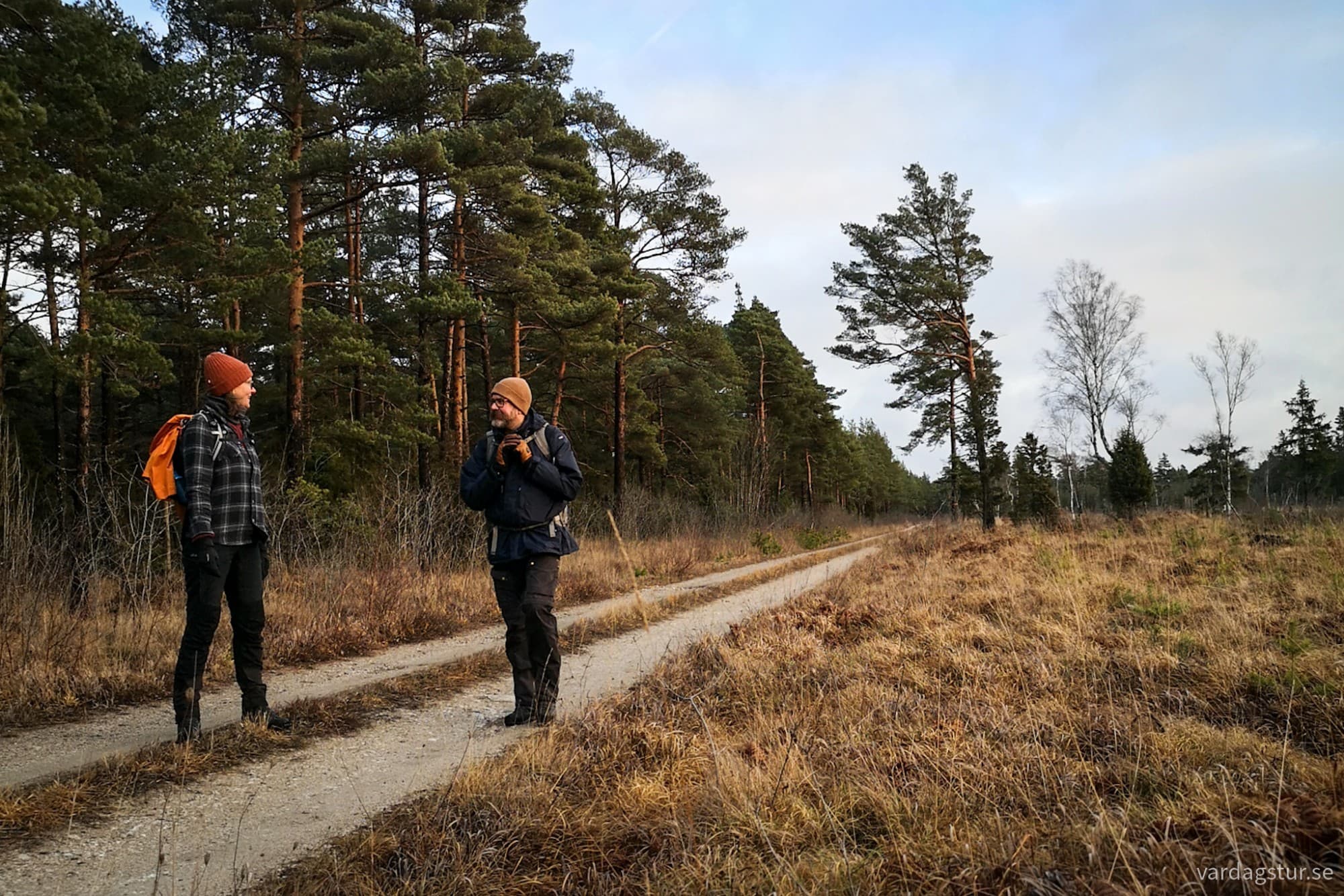 wp-17348840396657736494913278602397