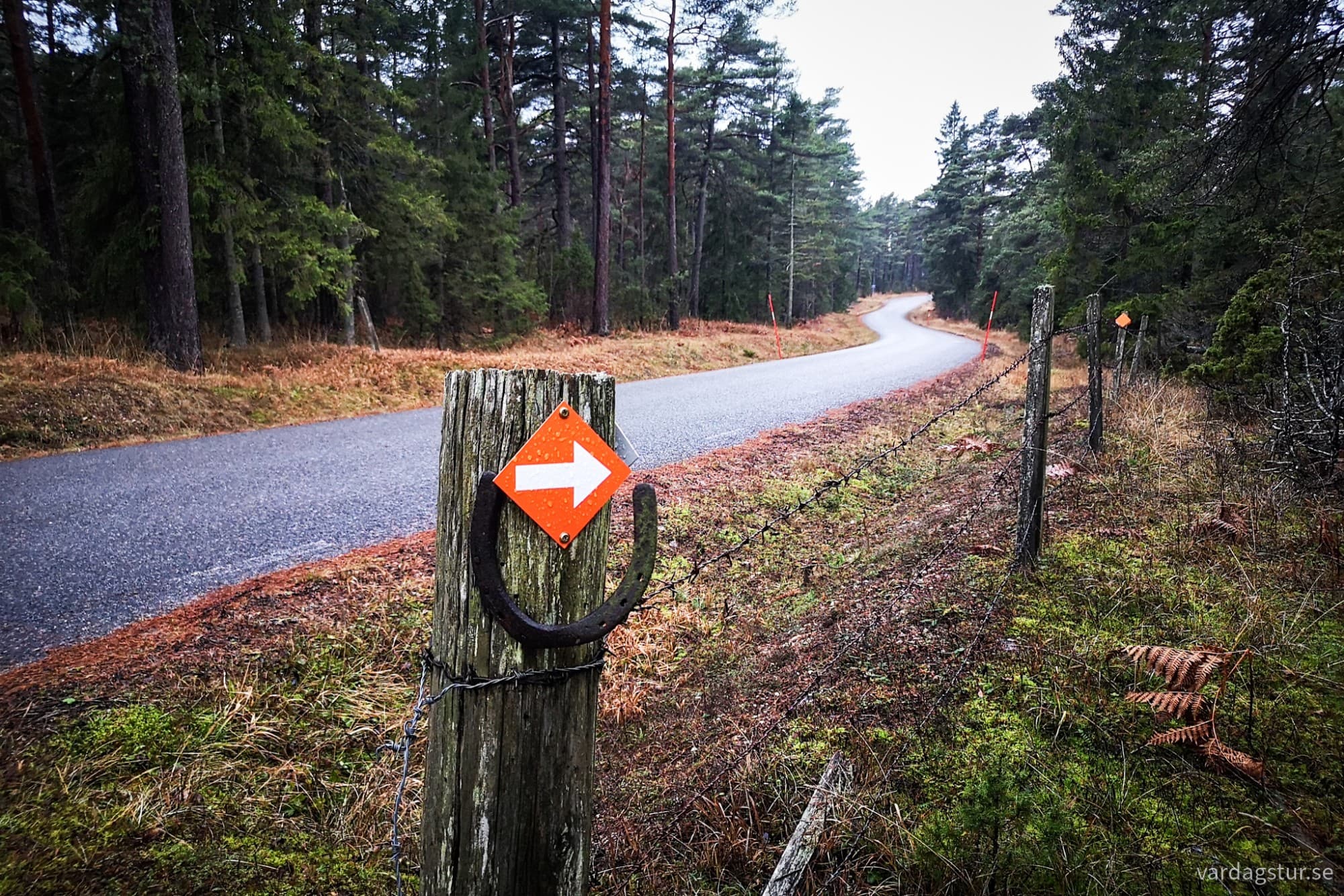 wp-17348840401699142891504564480979