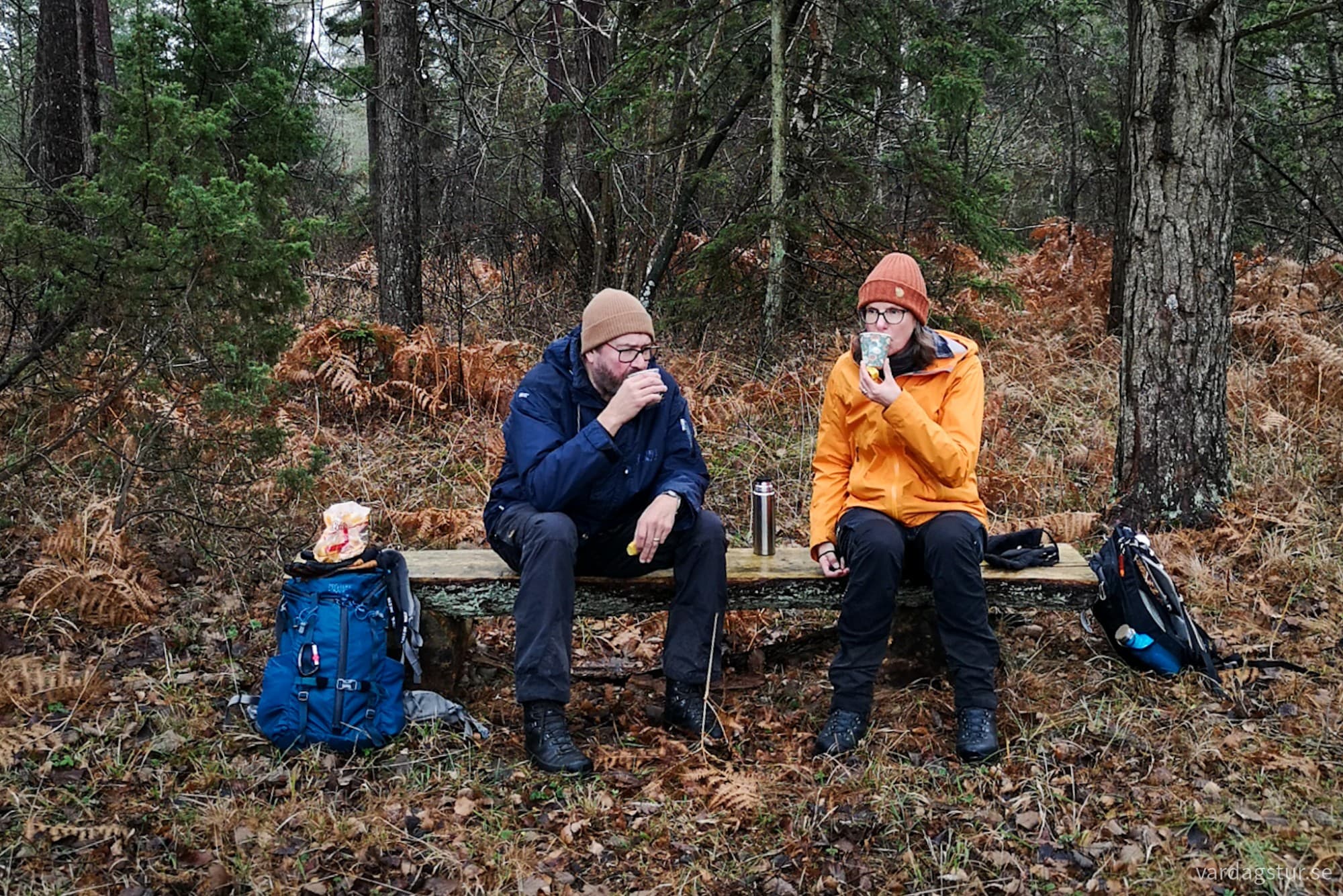 wp-17348840393846970492765578605208