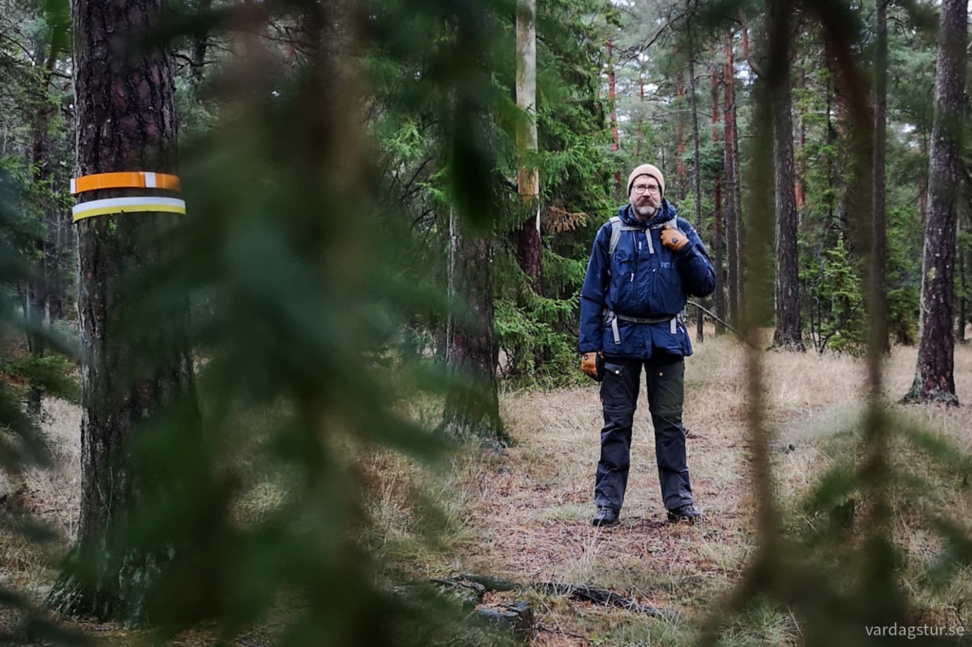 wp-17348840410164265038962459847975