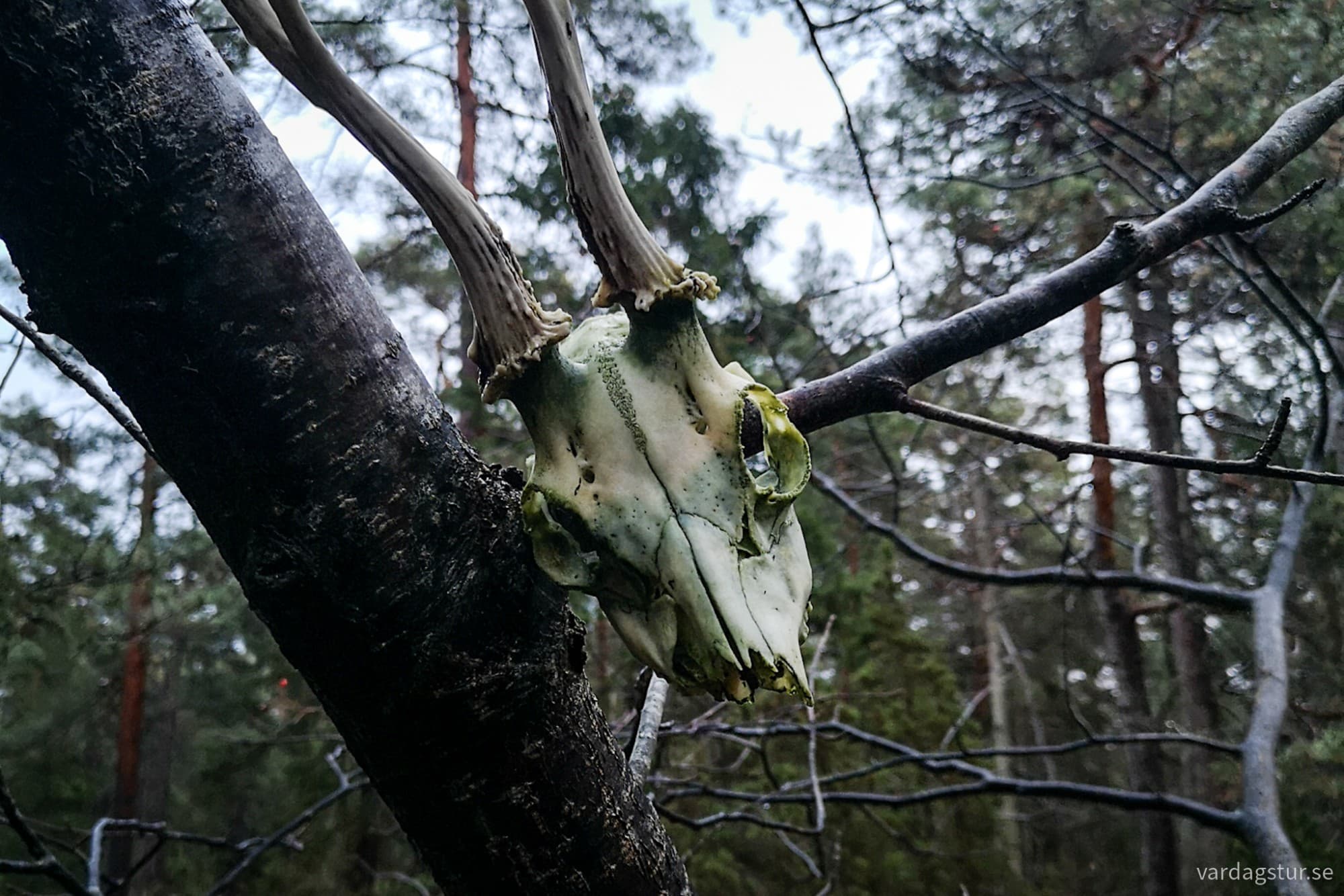 wp-1734884041247444538921262833434