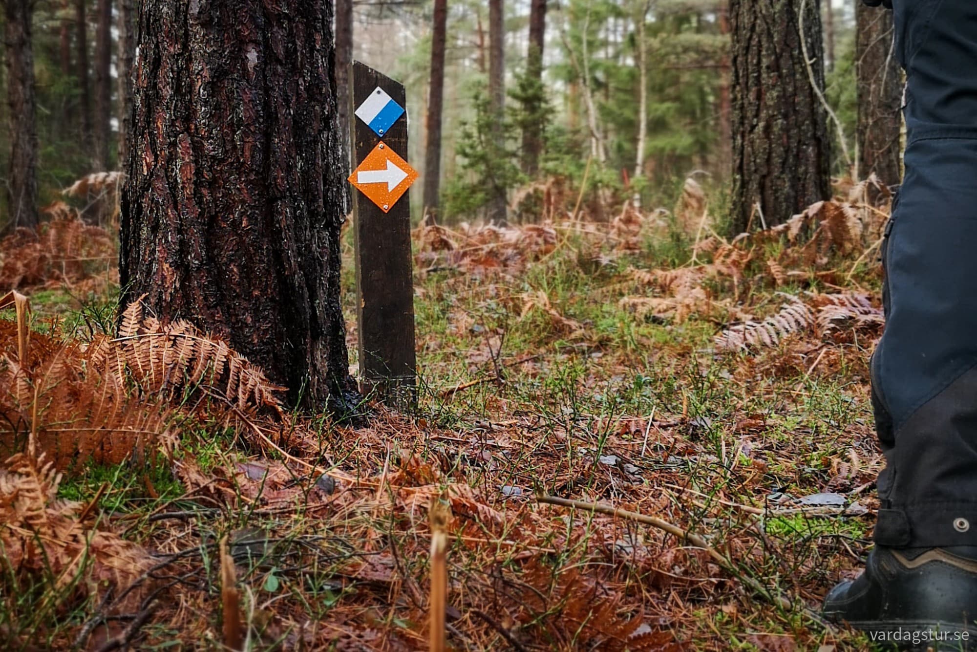 wp-17348842722938113468085245128027