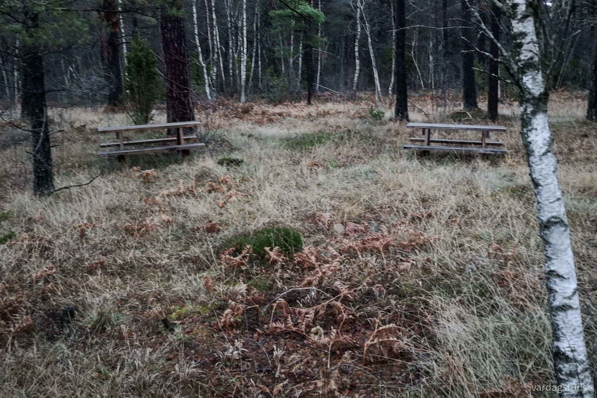 wp-17357368996217332715032077307425