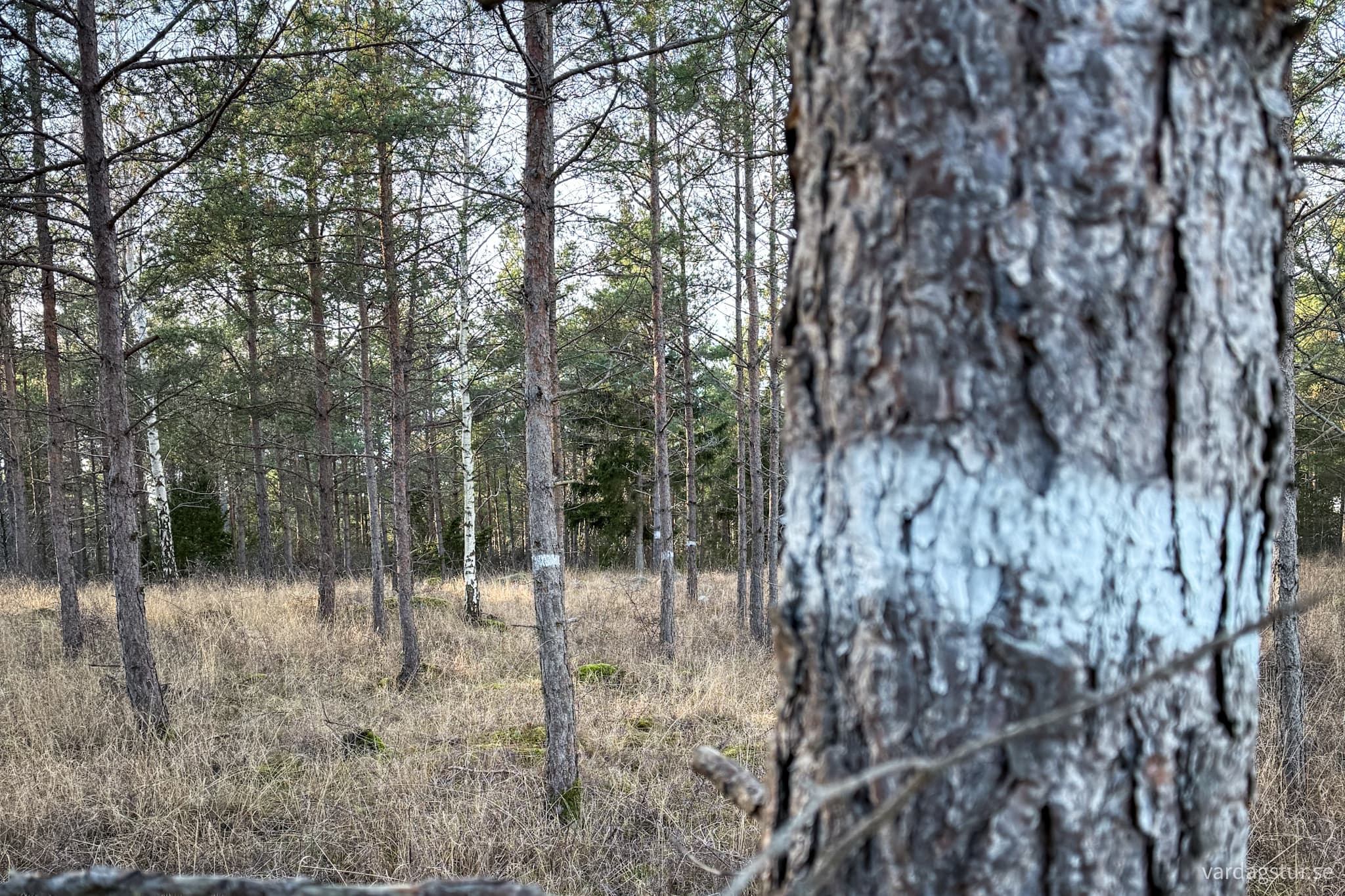 image_838d2ead-7a29-4838-9e9f-36c5a724521c