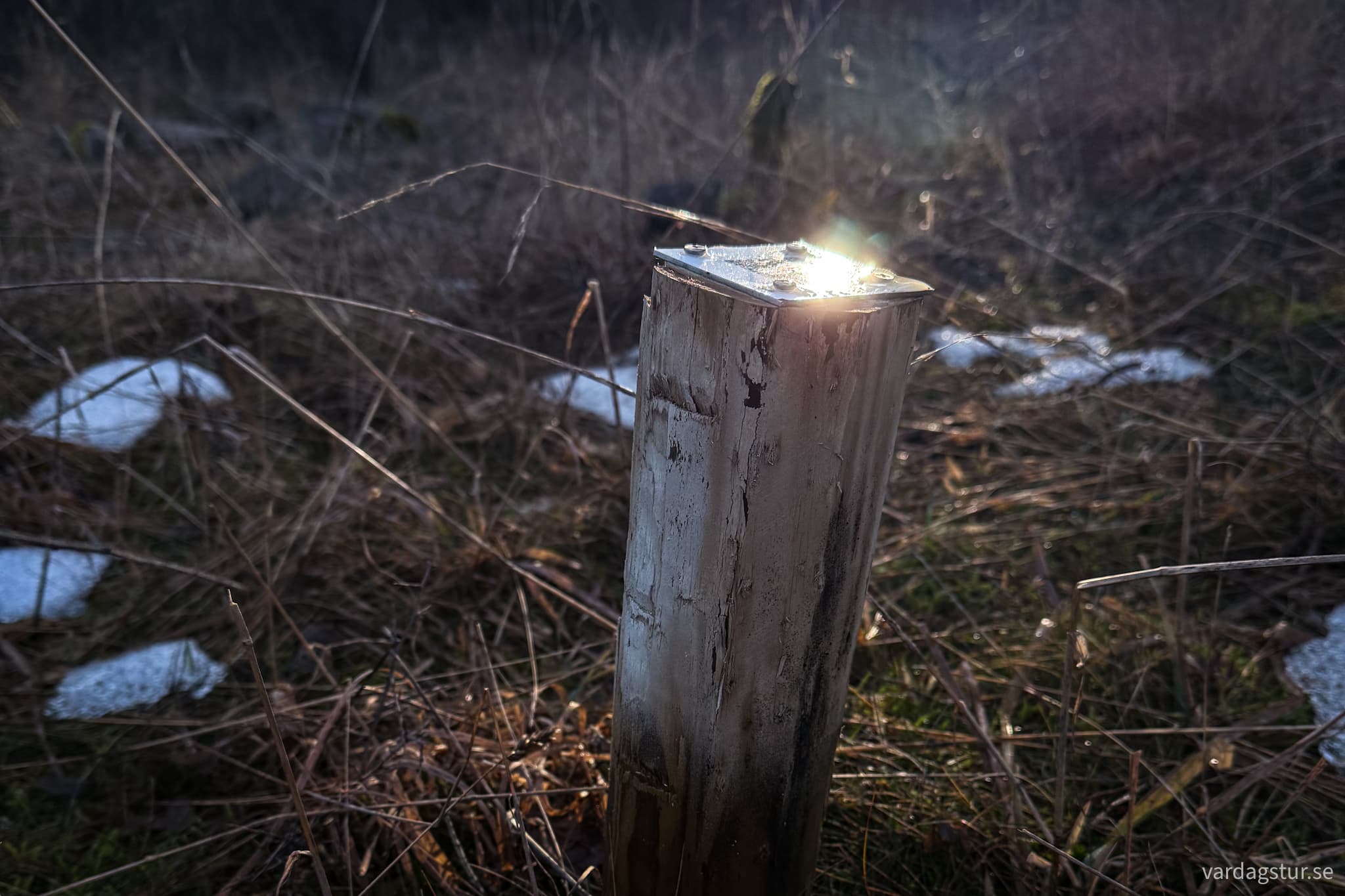 image_36f8ccb6-c656-43d8-8053-73a11457c5f7