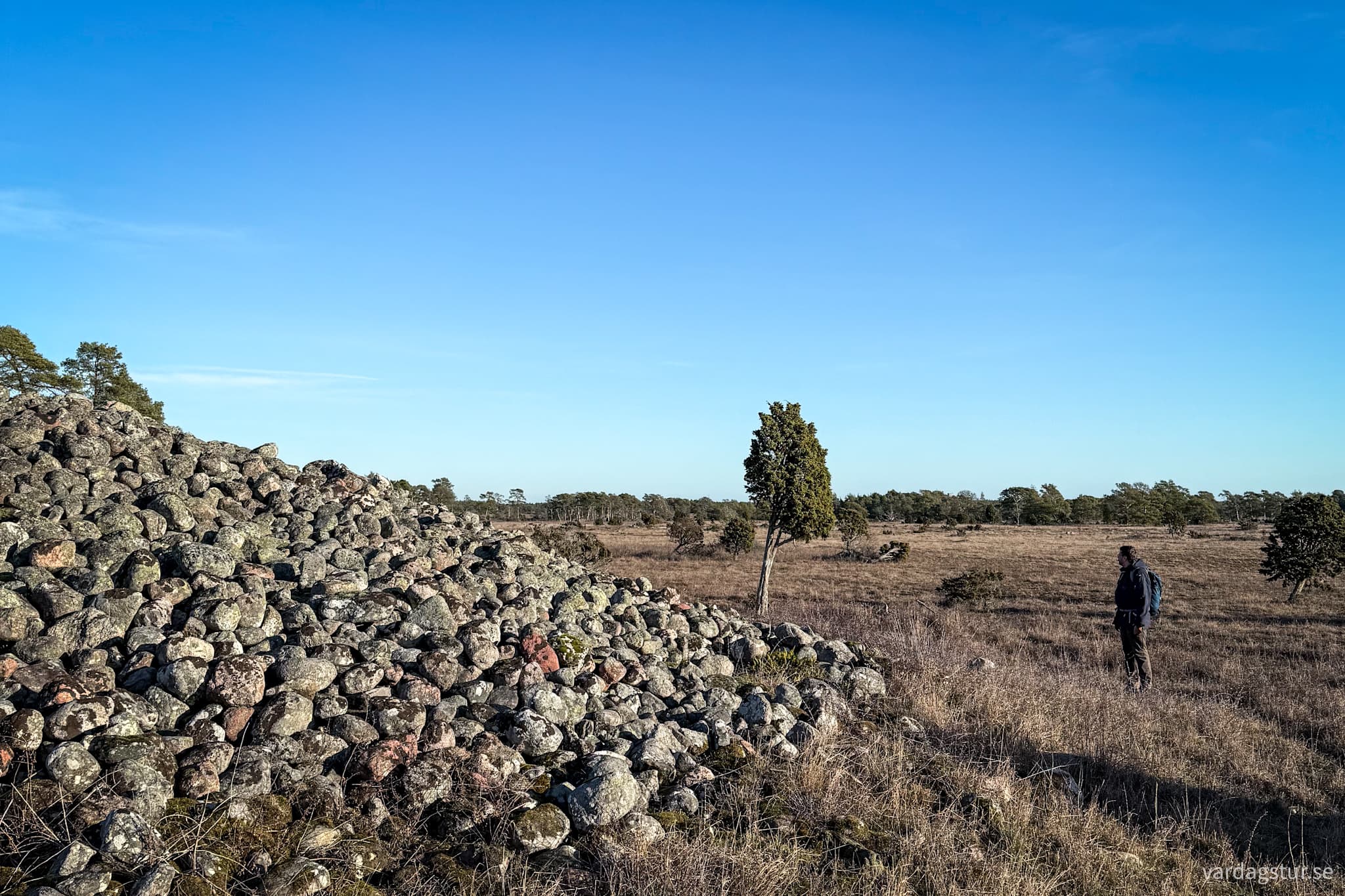 image_f41052e8-7e1e-43fa-ab9e-7674d2e20c2e