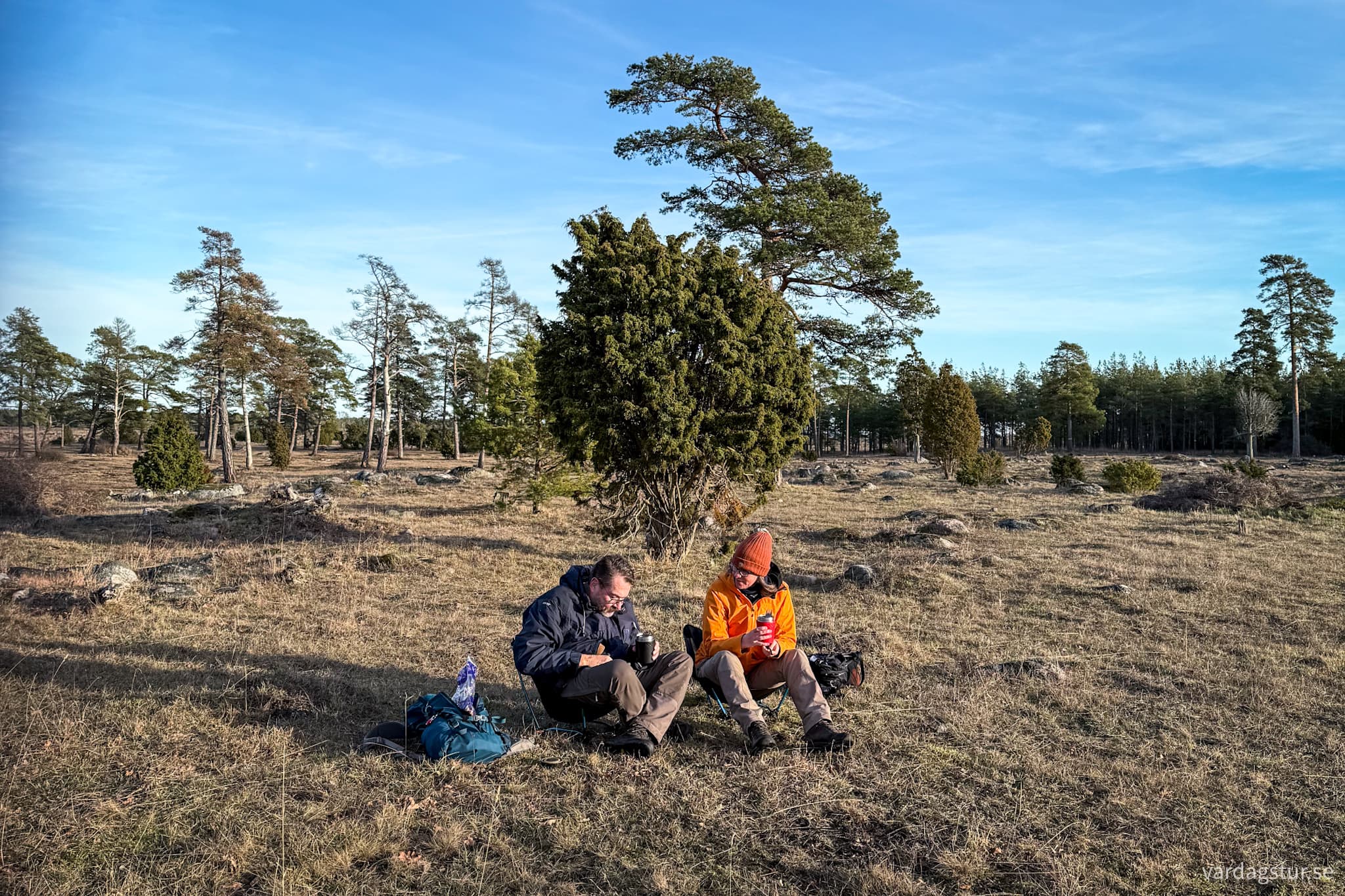 image_03071f16-23be-4352-aa15-e83f3dc3ea82