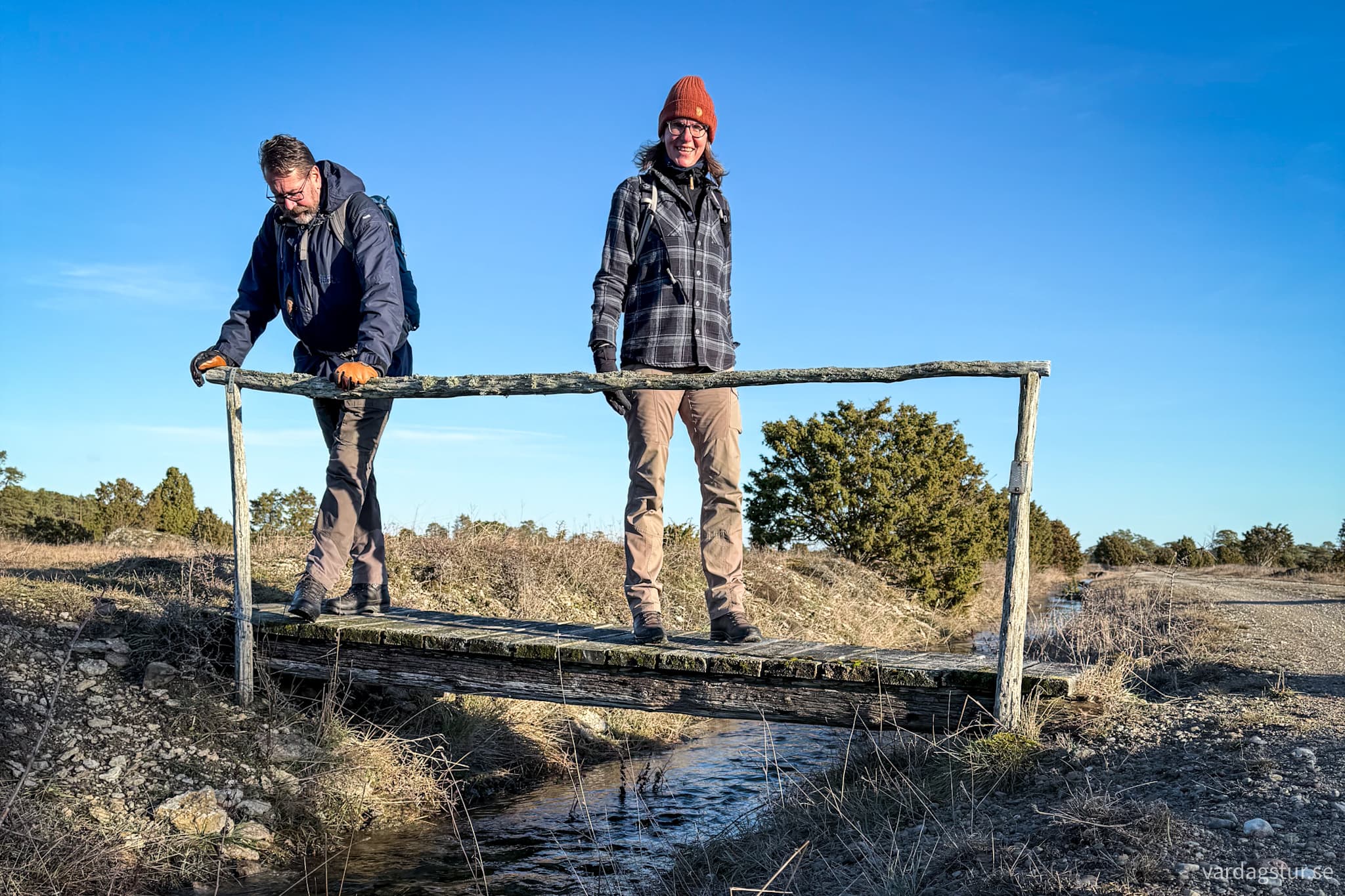 image_c24af215-74d9-40e9-9275-6d7bd9d33dc1