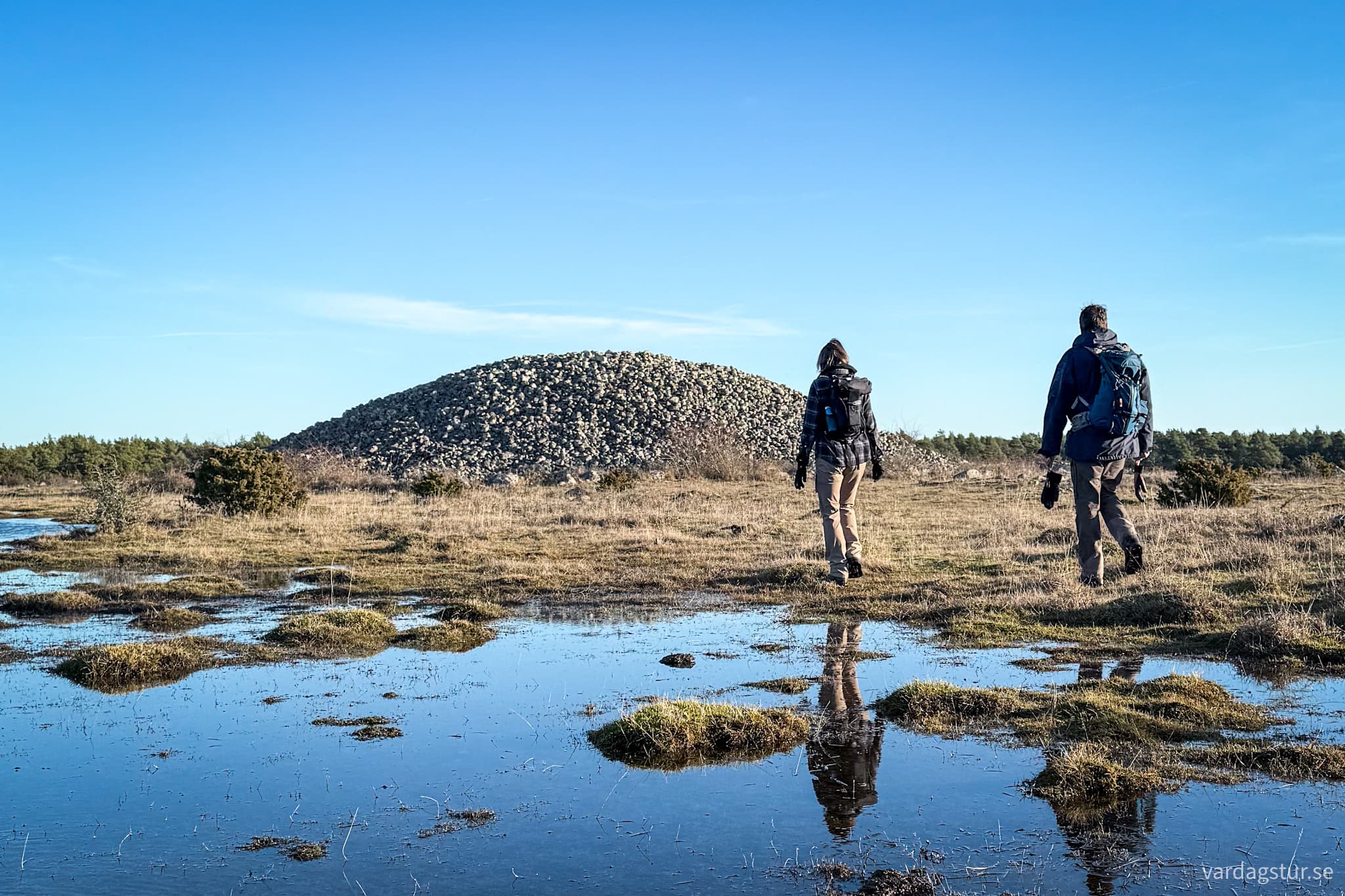 image_8f28153d-8bca-4eb5-b469-ac62ed88d459