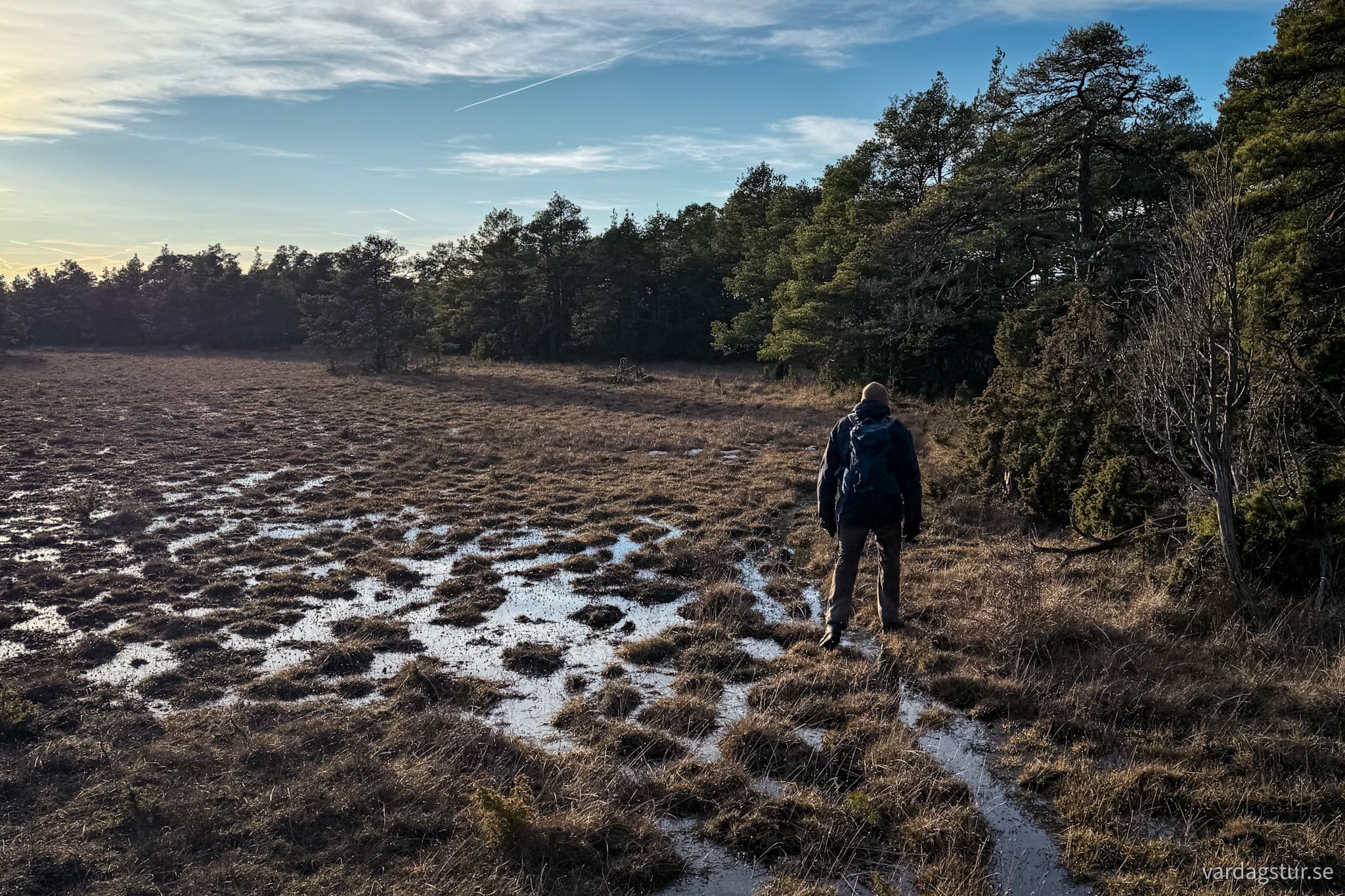 image_f5d75cf8-09f5-4bc9-b5af-3b45ec8ec049