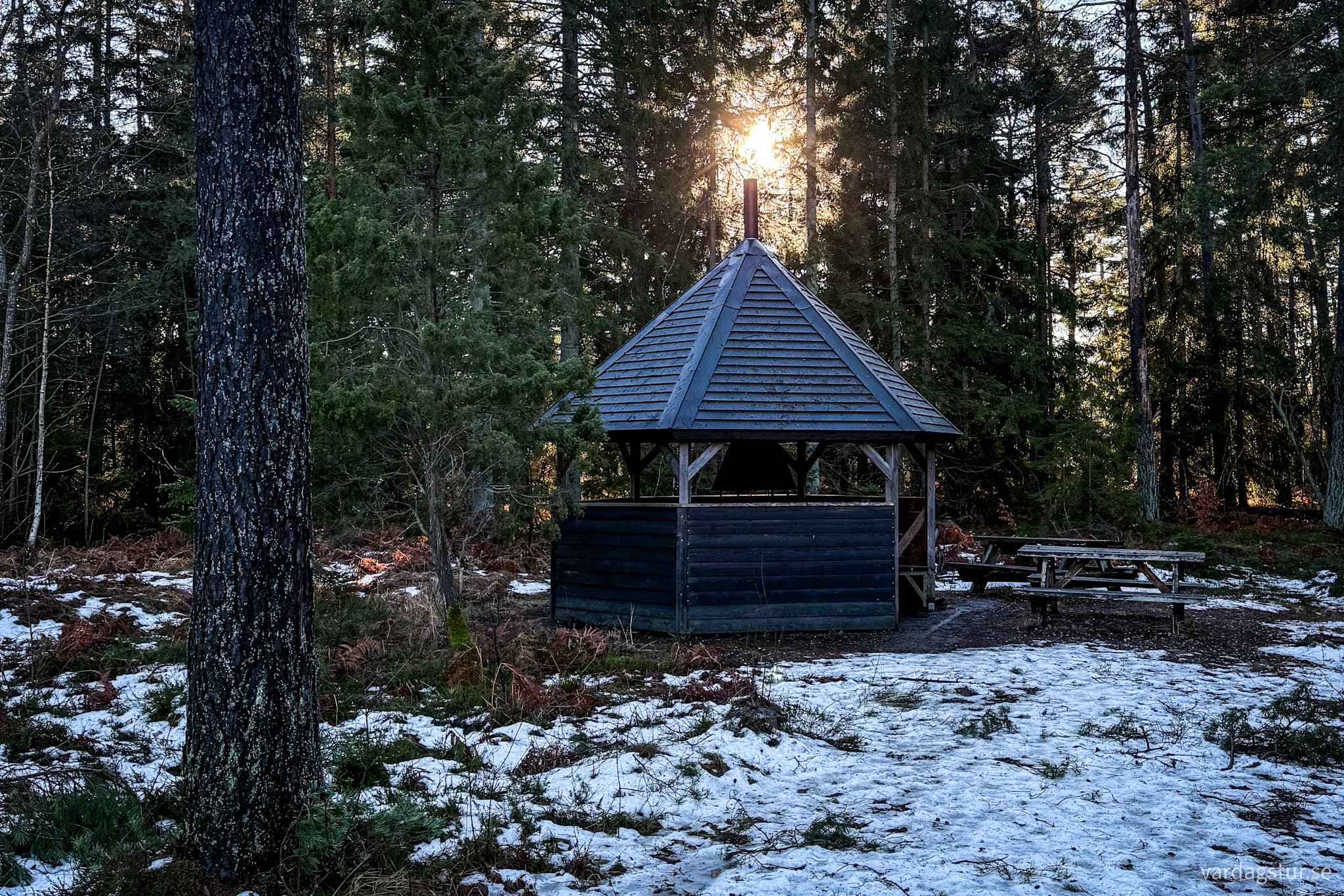 image_afcb13bd-7c15-49ba-a81d-0d74f5b41549