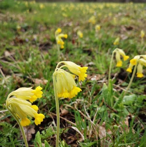 1-IMG_20200429_133044