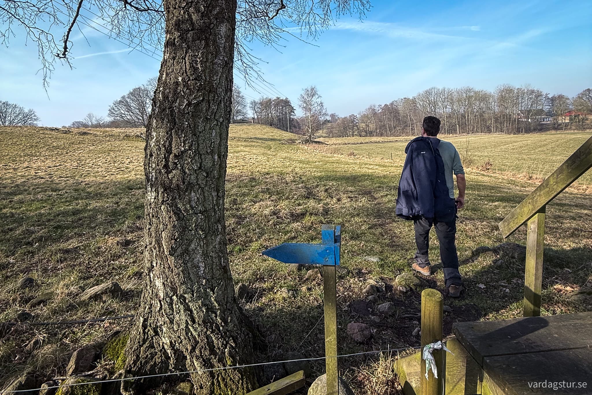 Grevie-backar-2025-03-08-01