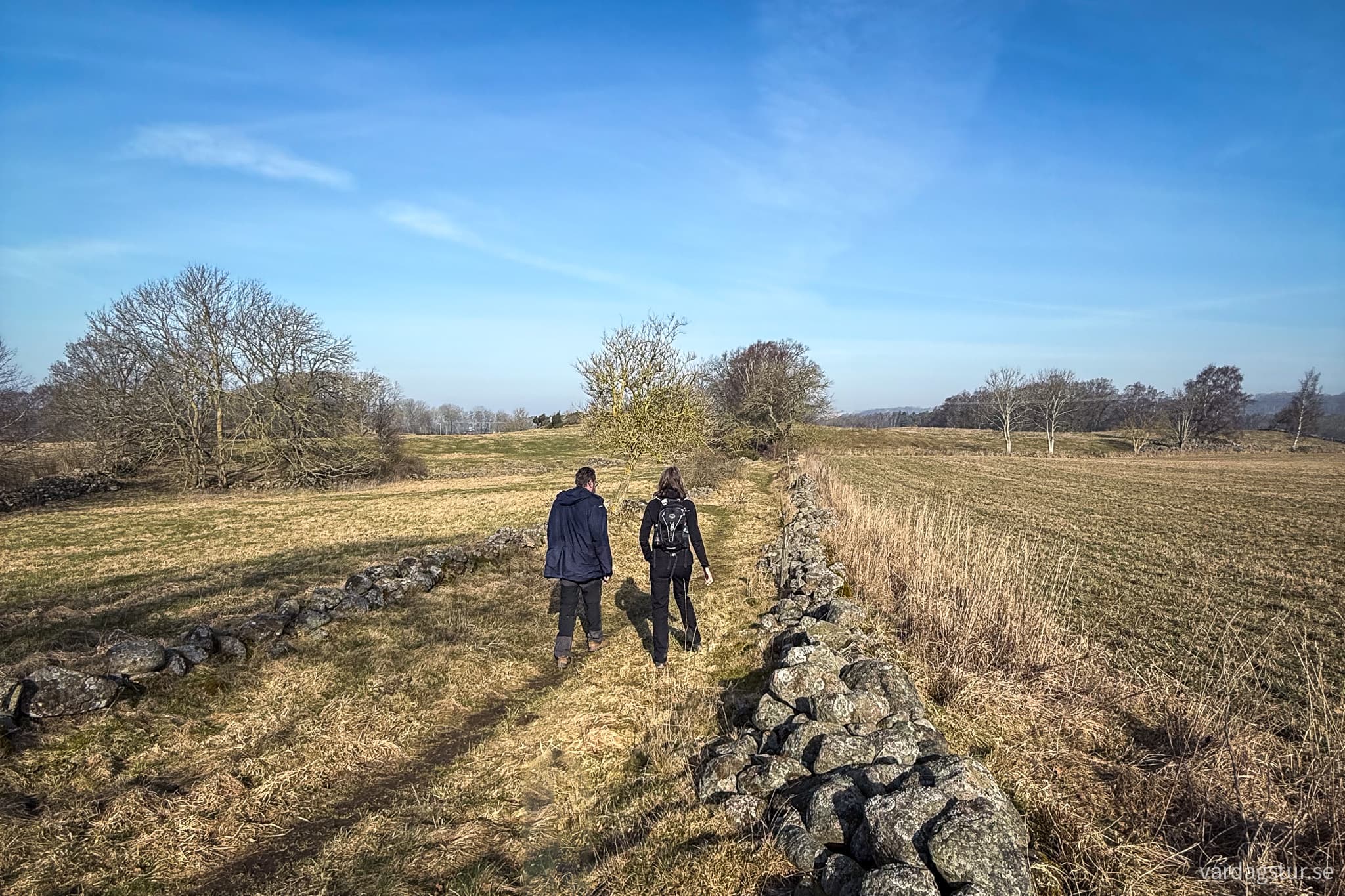 Grevie-backar-2025-03-08-02